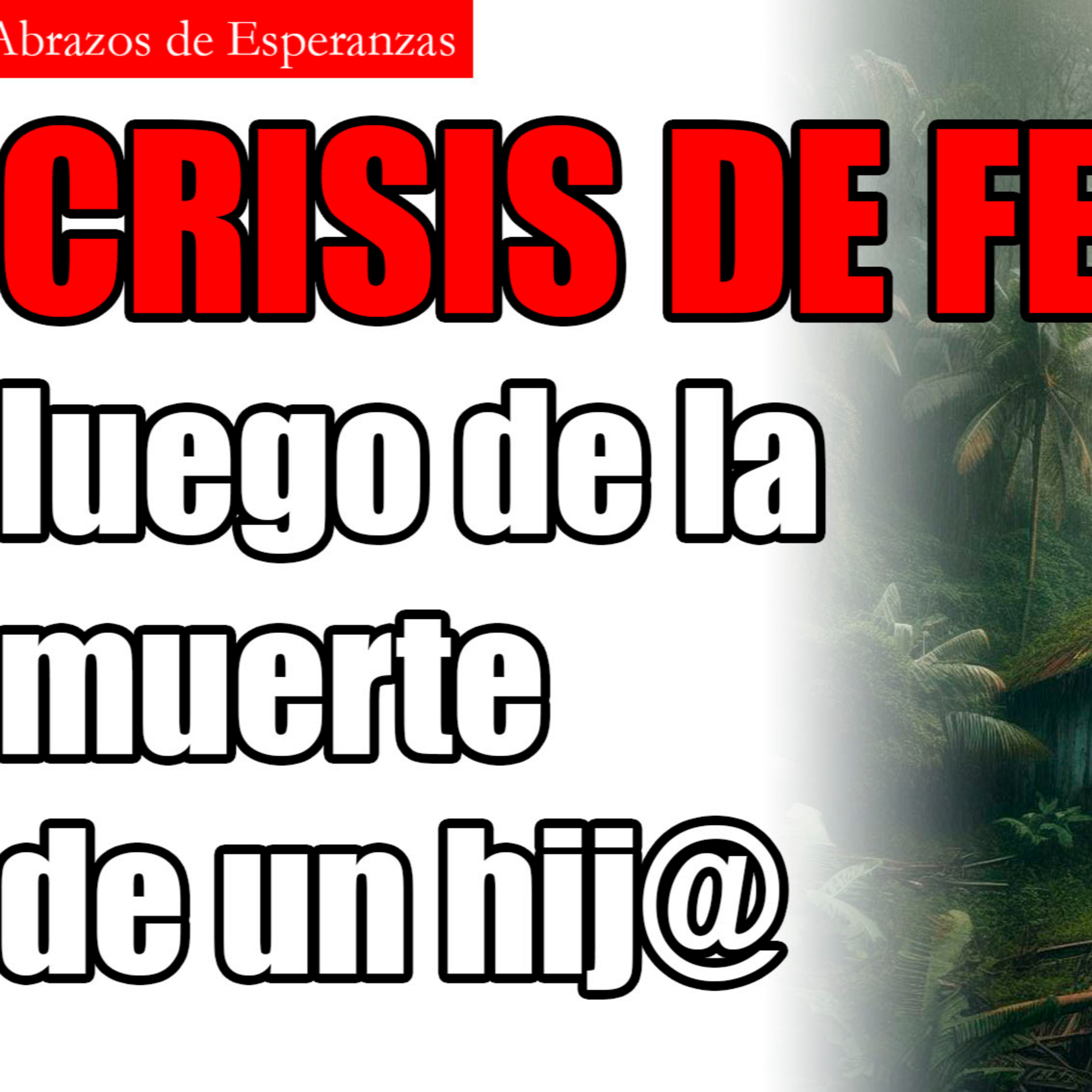 Enfrentando la crisis tras la muerte de un hijo: Cuando la fe no da consuelo episode artwork
