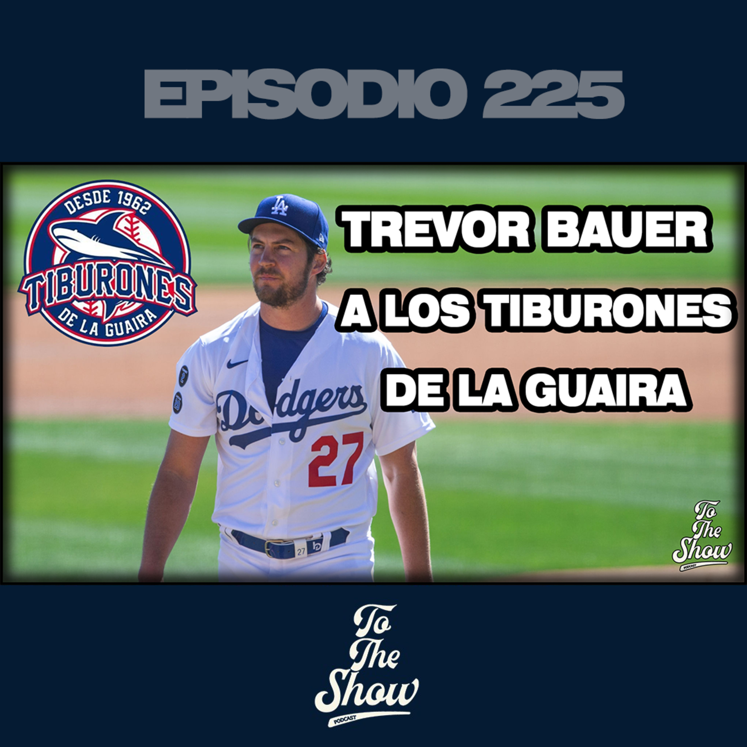 ¿Vendrá Trevor Bauer con los Tiburones de la Guaira?