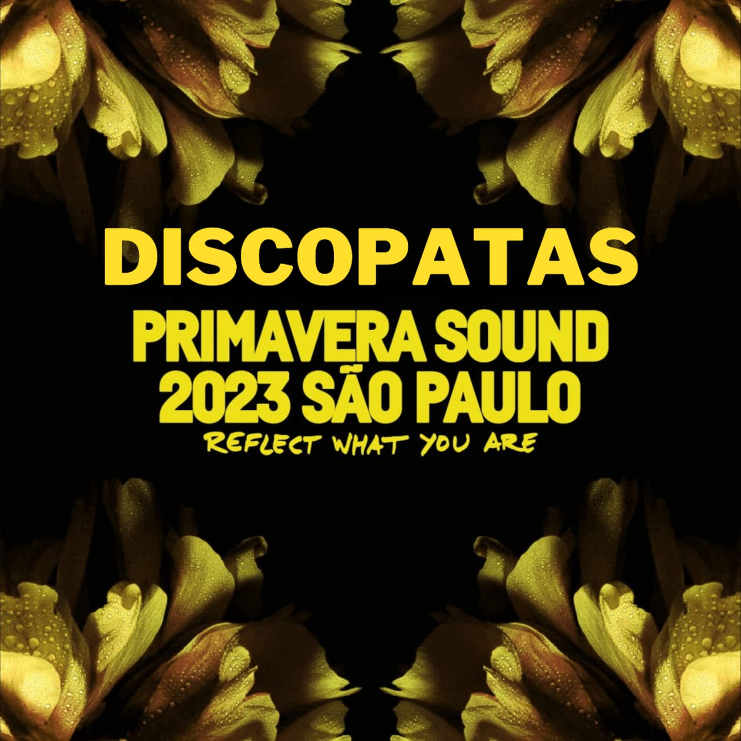 Discopatas