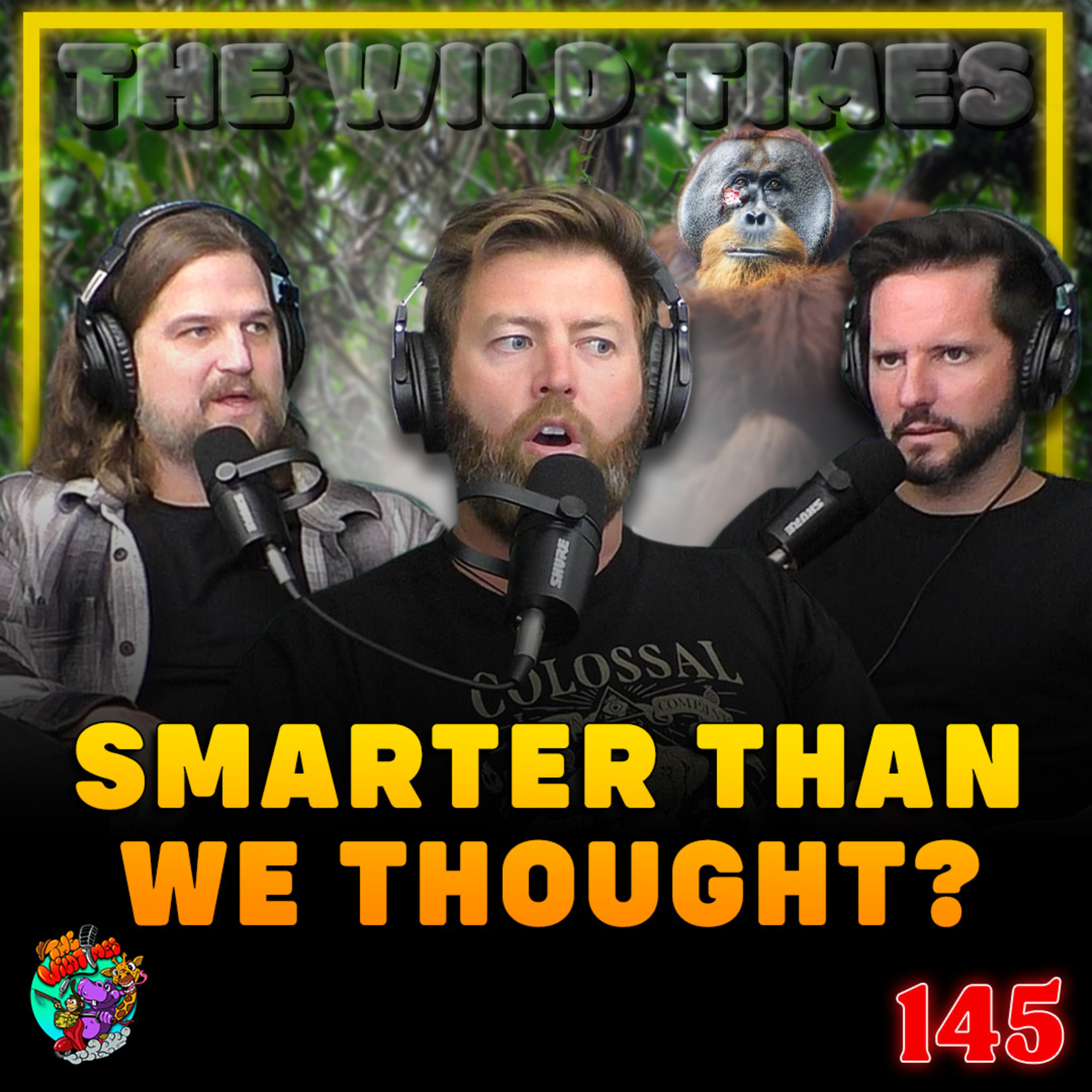 Injured Orangutan Seen Using Plants As Medicine - The Wild Times Ep. 145
