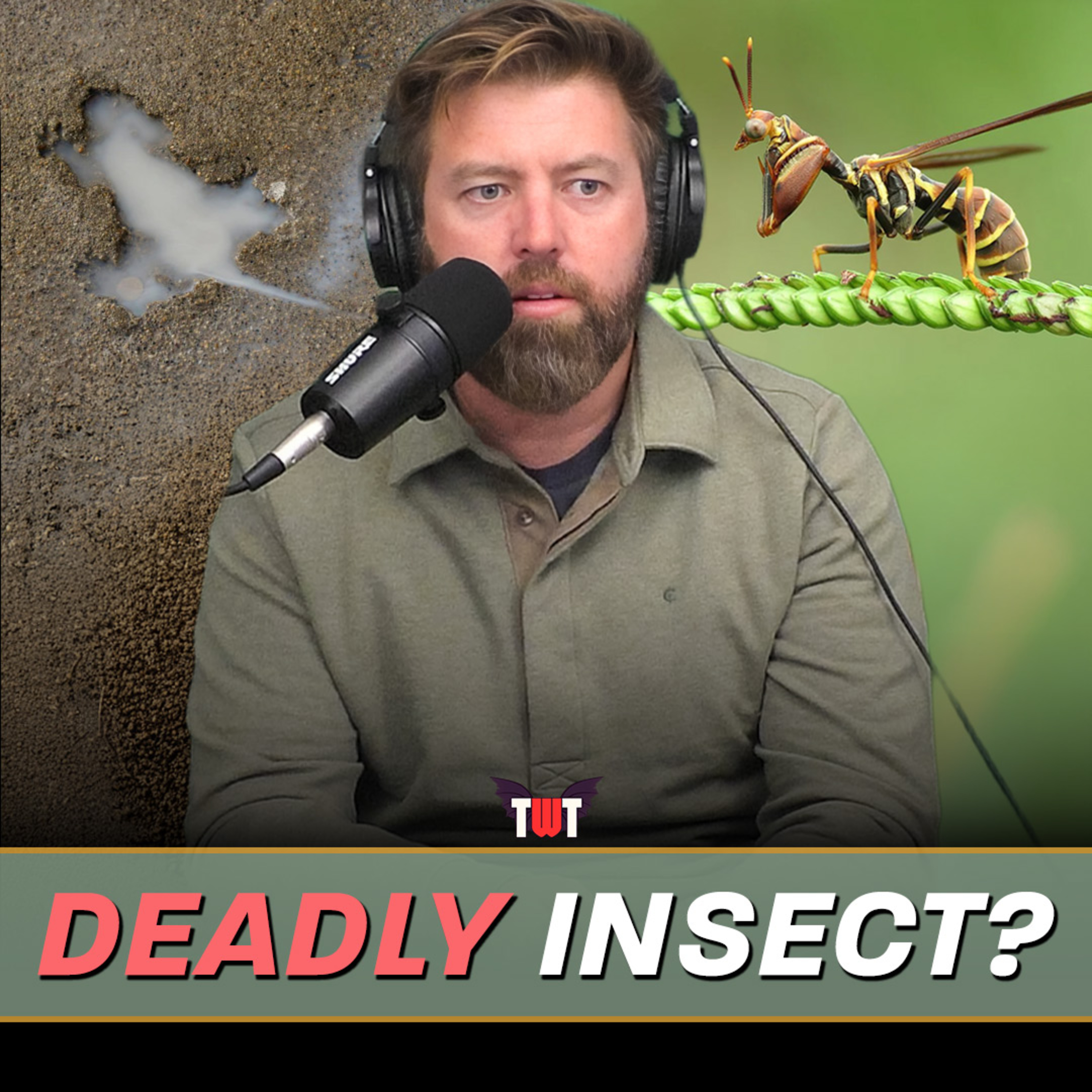 Insects Pretending to Be Wasps, Chicago Rate Hole Hoax & Eagle Flies Into Man's Car