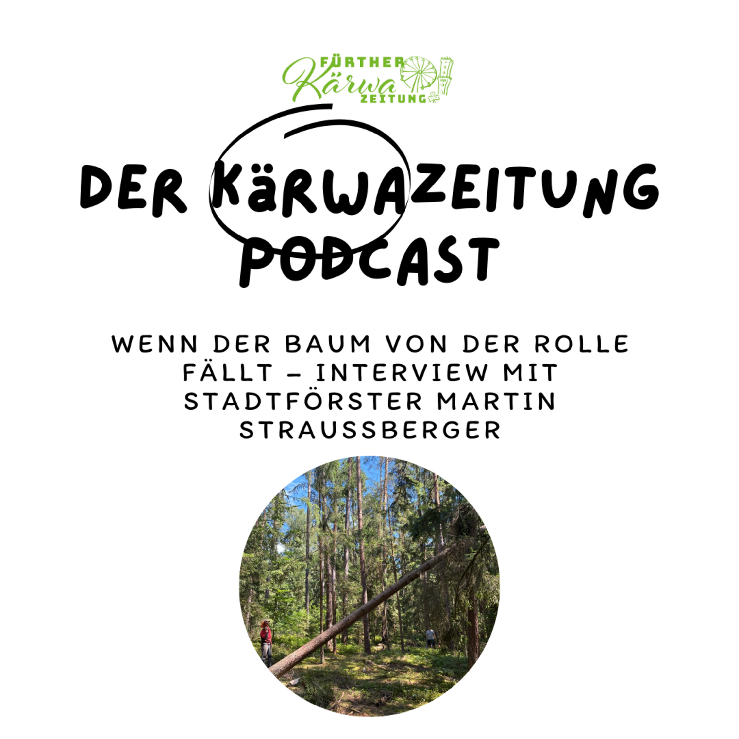 Wenn der Baum von der Rolle fällt – Interview mit Stadtförster Martin Straußberger episode artwork