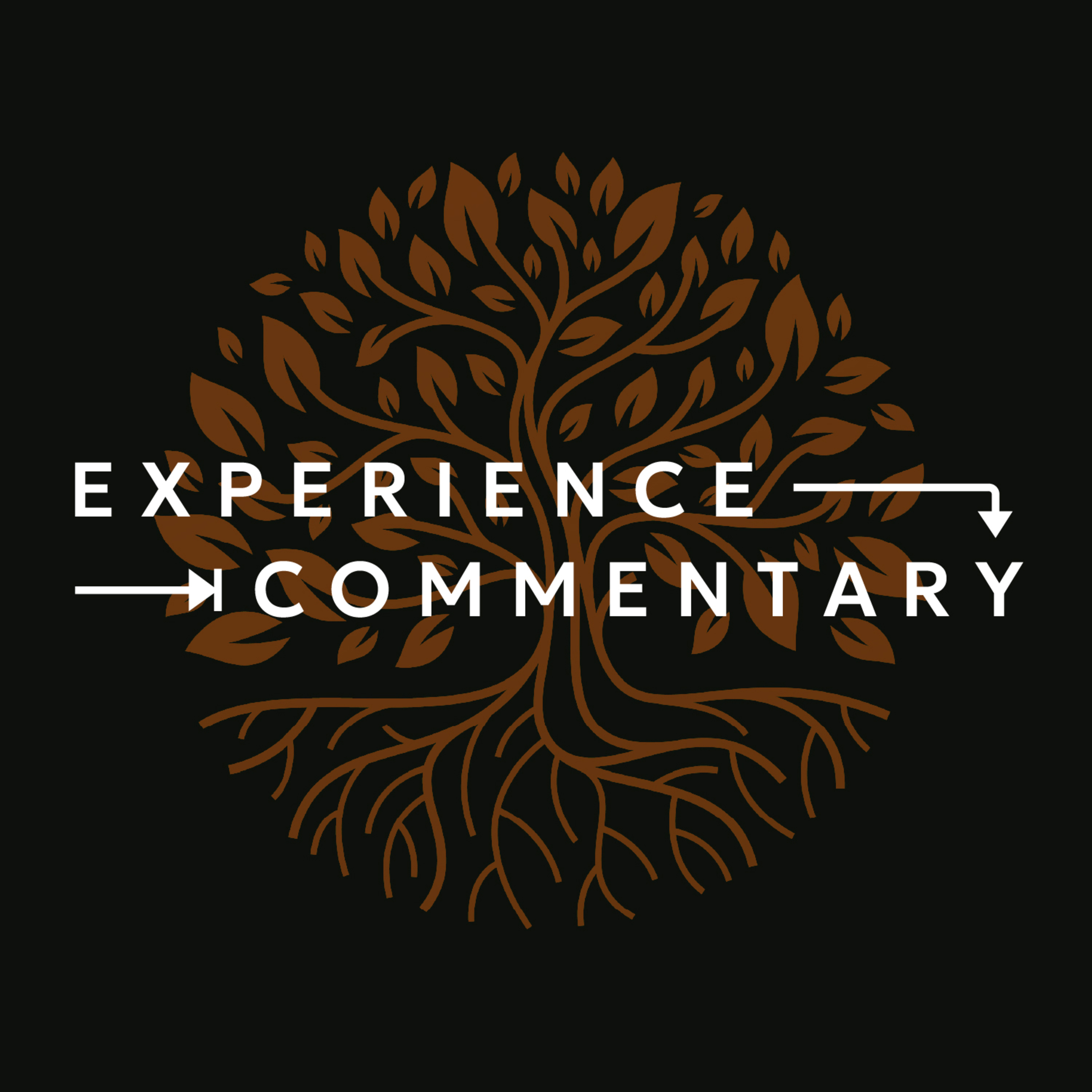 Experience Commentary | Why the Old Testament Matters: Chronicles and Why Genealogies Matter episode artwork