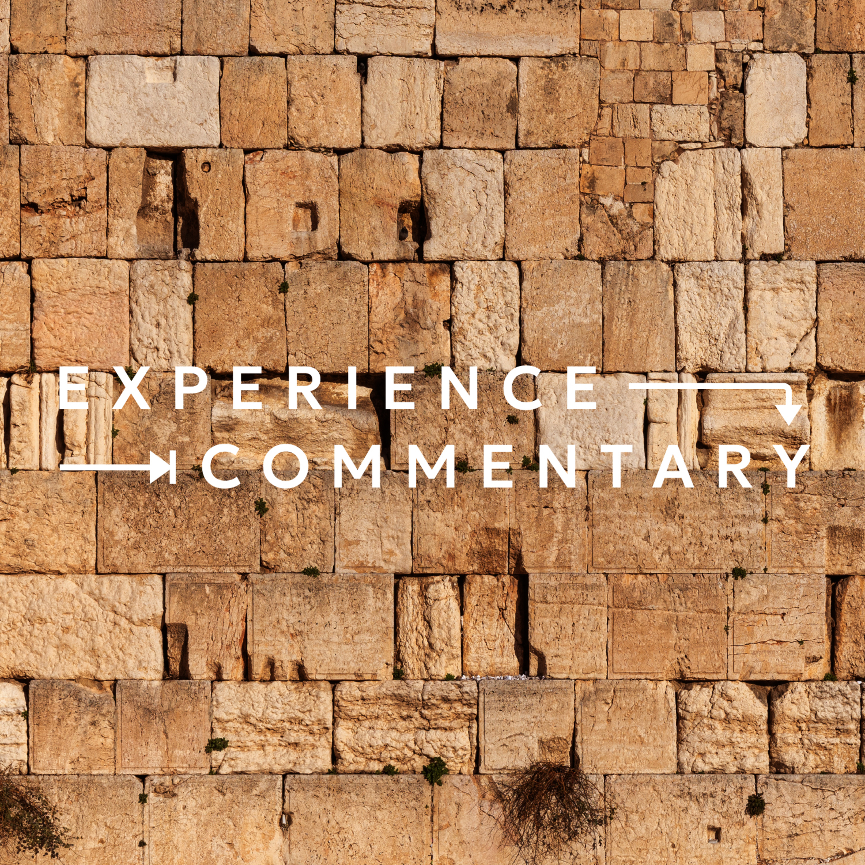 Experience Commentary | Why the Old Testament Matters: Lessons from Nehemiah episode artwork