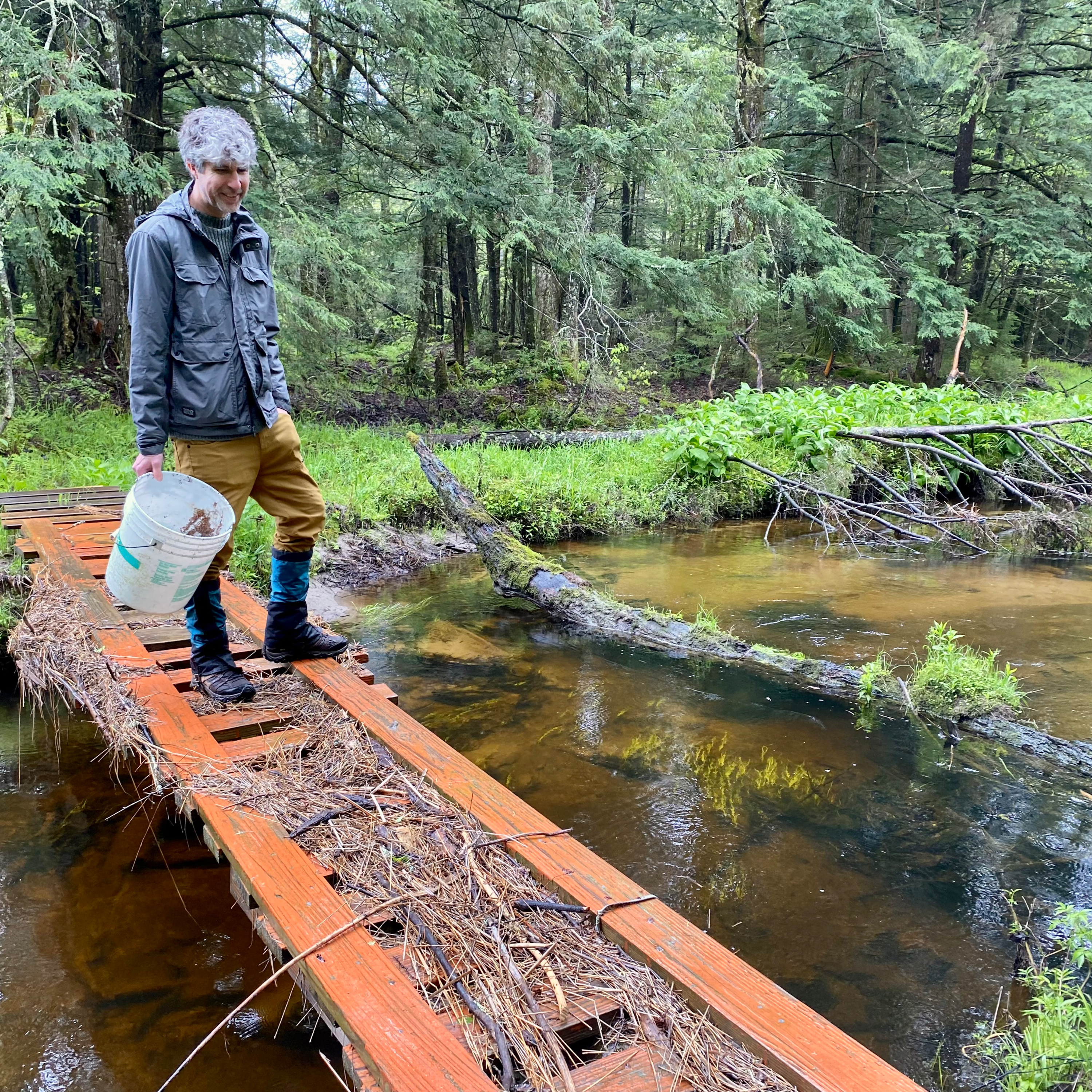 OSI’s Blue Hill Deal: 3,100 Acres of Forest and Stream Protected