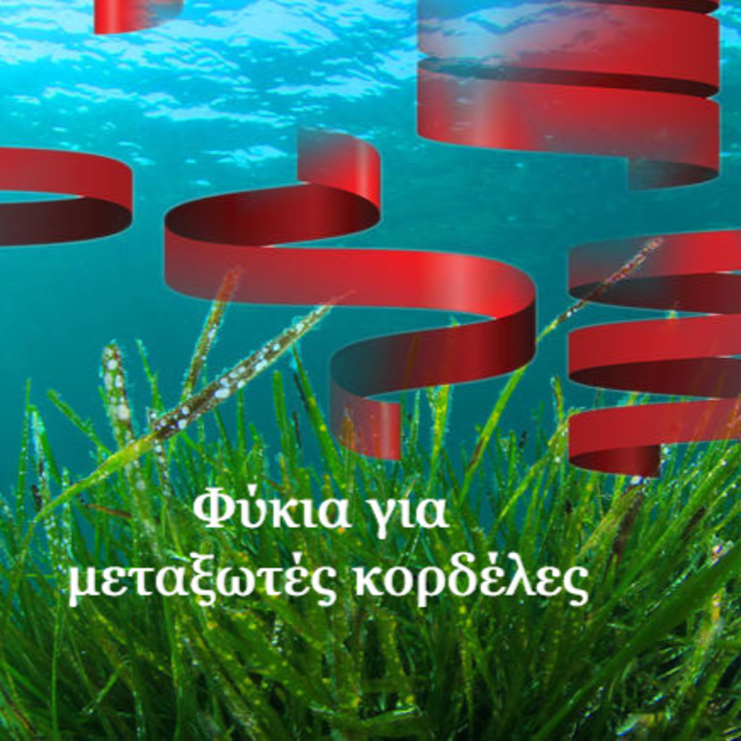 Σεζ 5 Επ. 57 Φύκια για μεταξωτές κορδέλες.