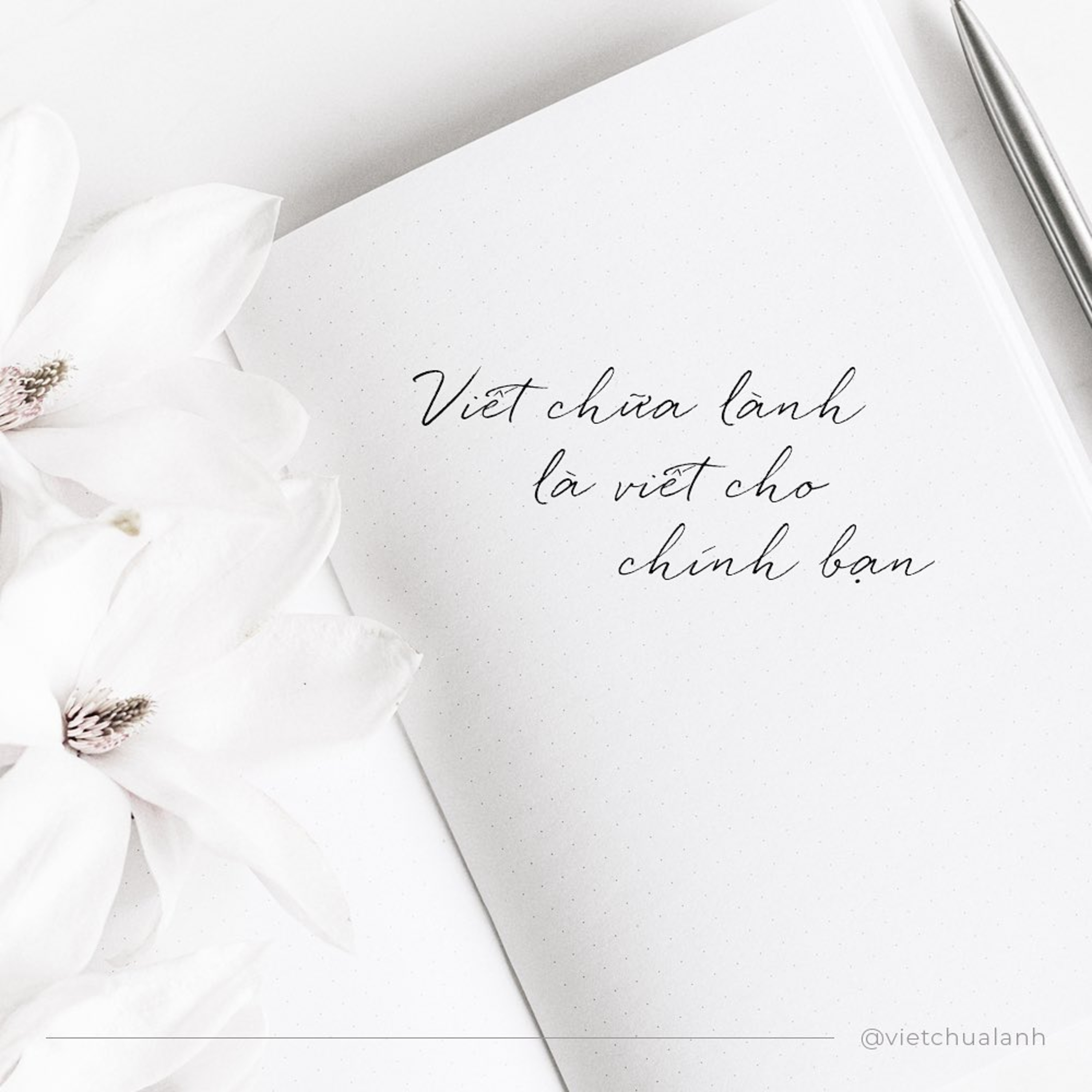 [Tốt hơn 1%] Cậu đã bao giờ viết thư gửi bố mẹ chưa?