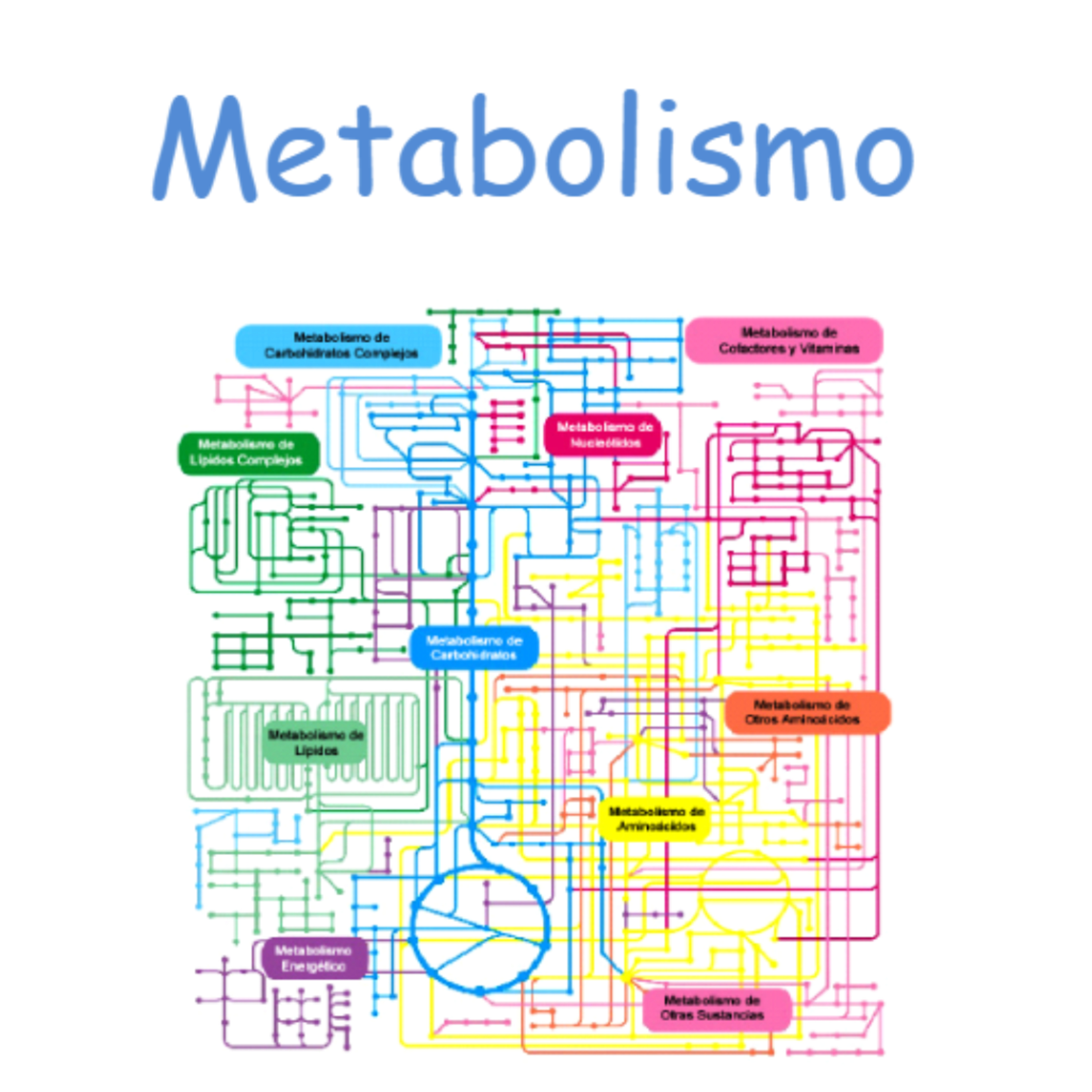 Metabolismo  episode artwork