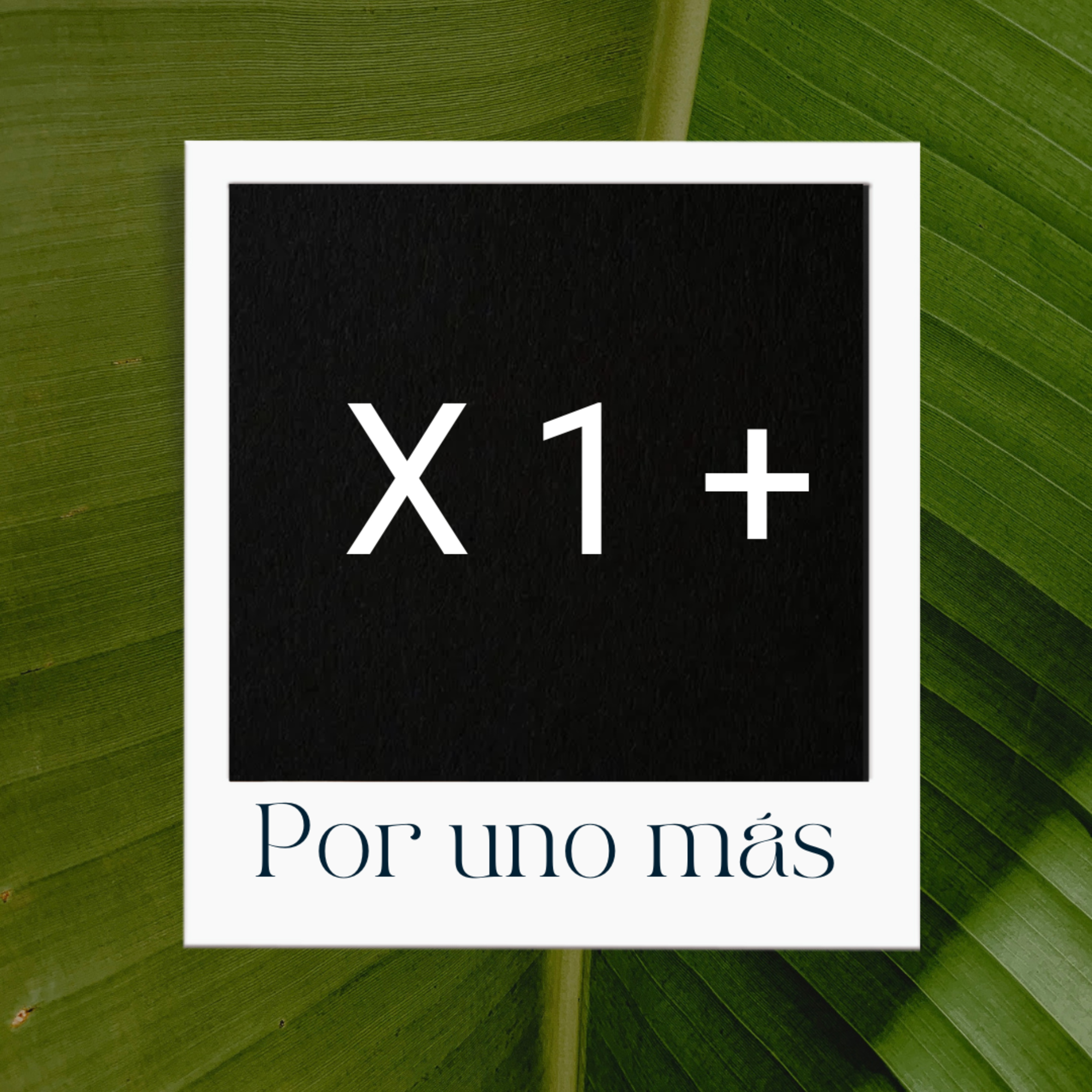 Ministerio Hispano Internacional