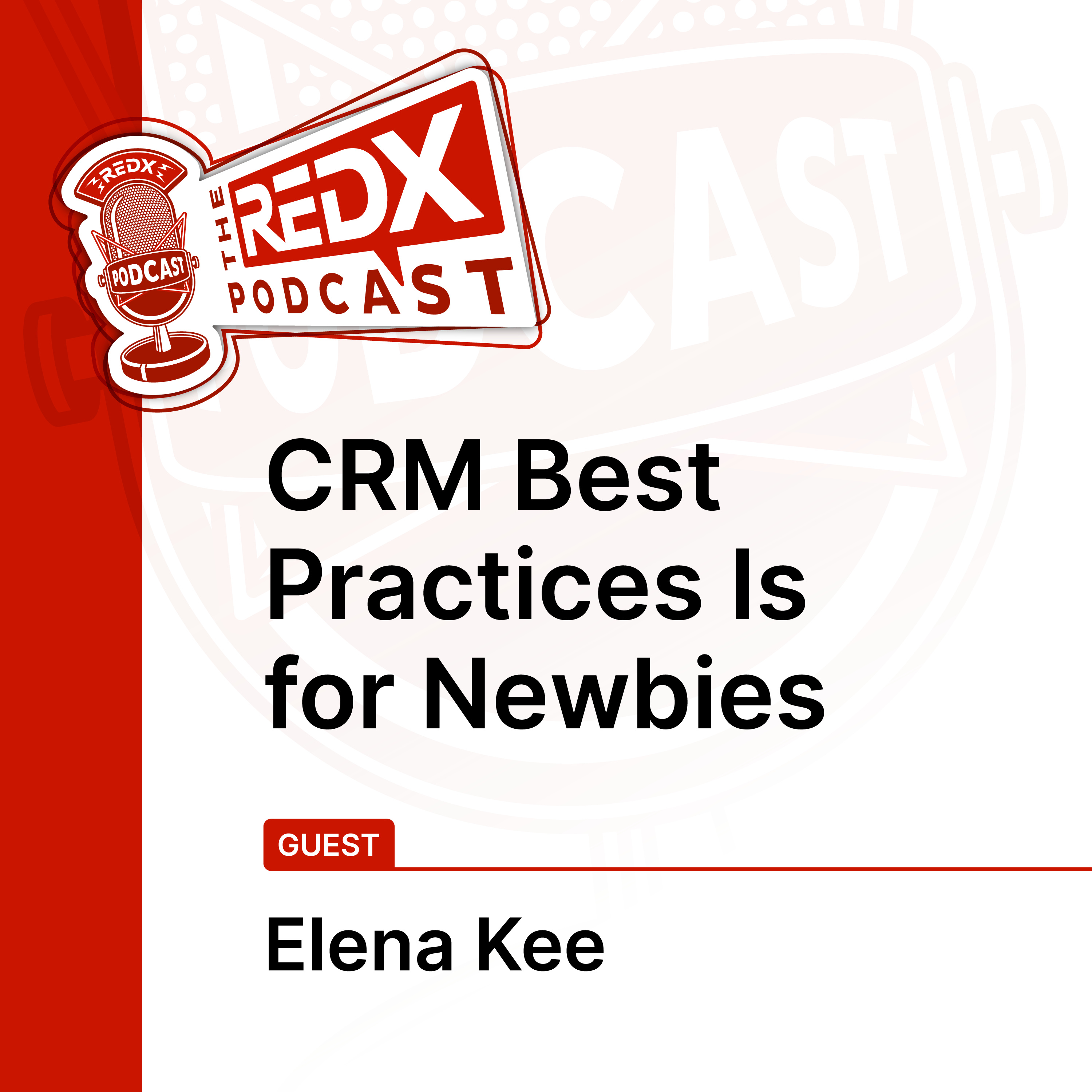 CRM Best Practices Is for Newbies episode artwork