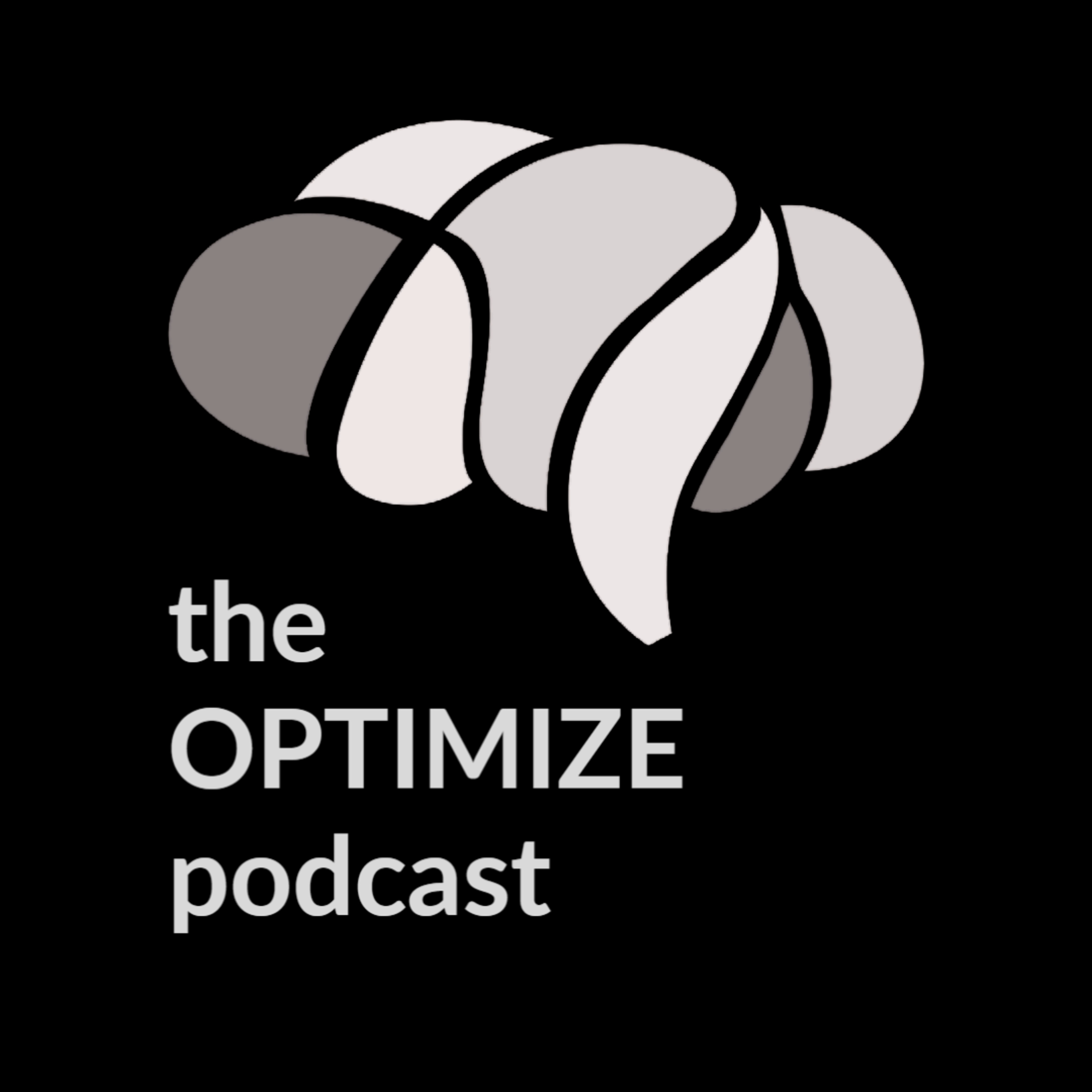 How to Keep Lasting Relationships - Optimize Podcast E7, Dr Rick Hanson episode artwork