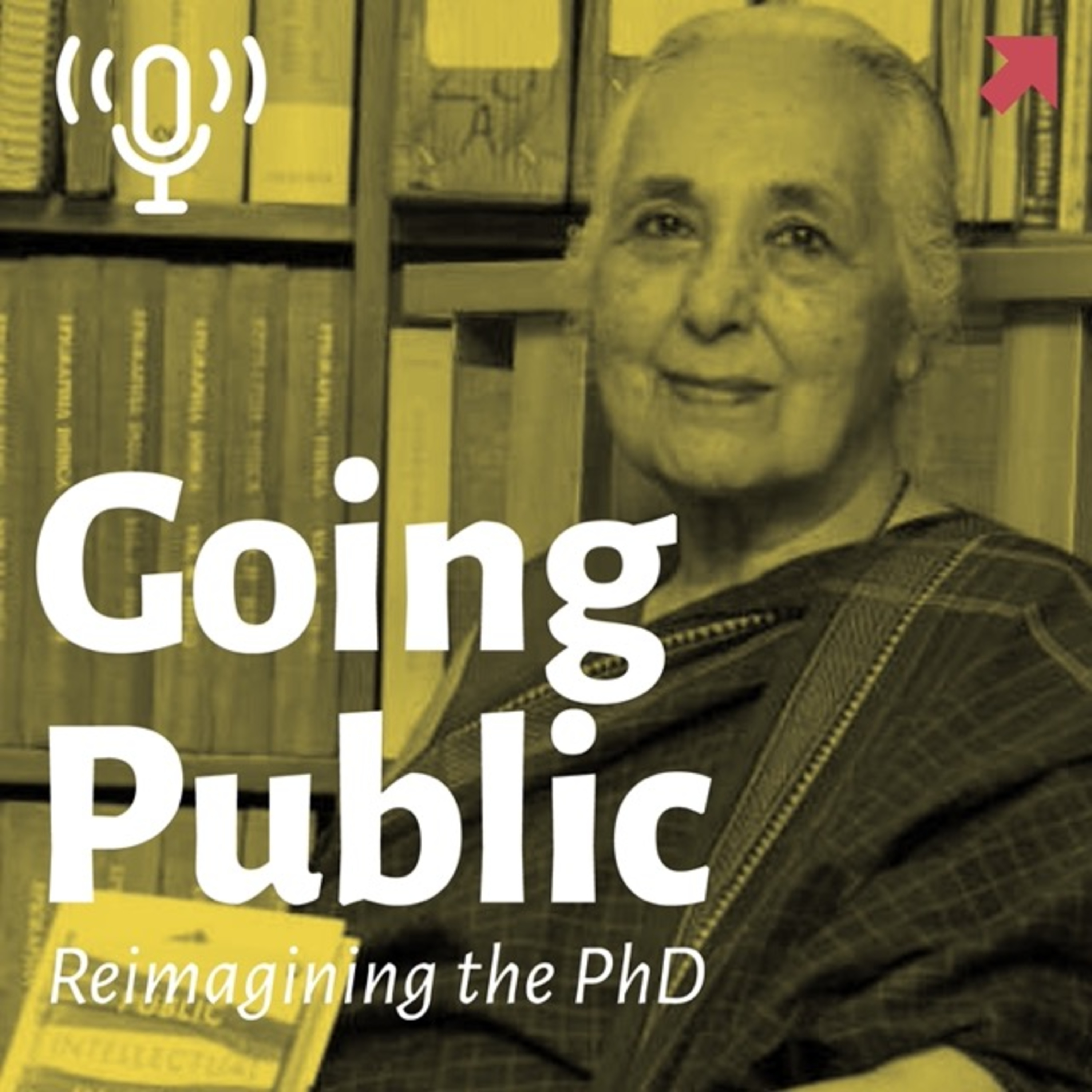 Going Public: Reimagining the PhD