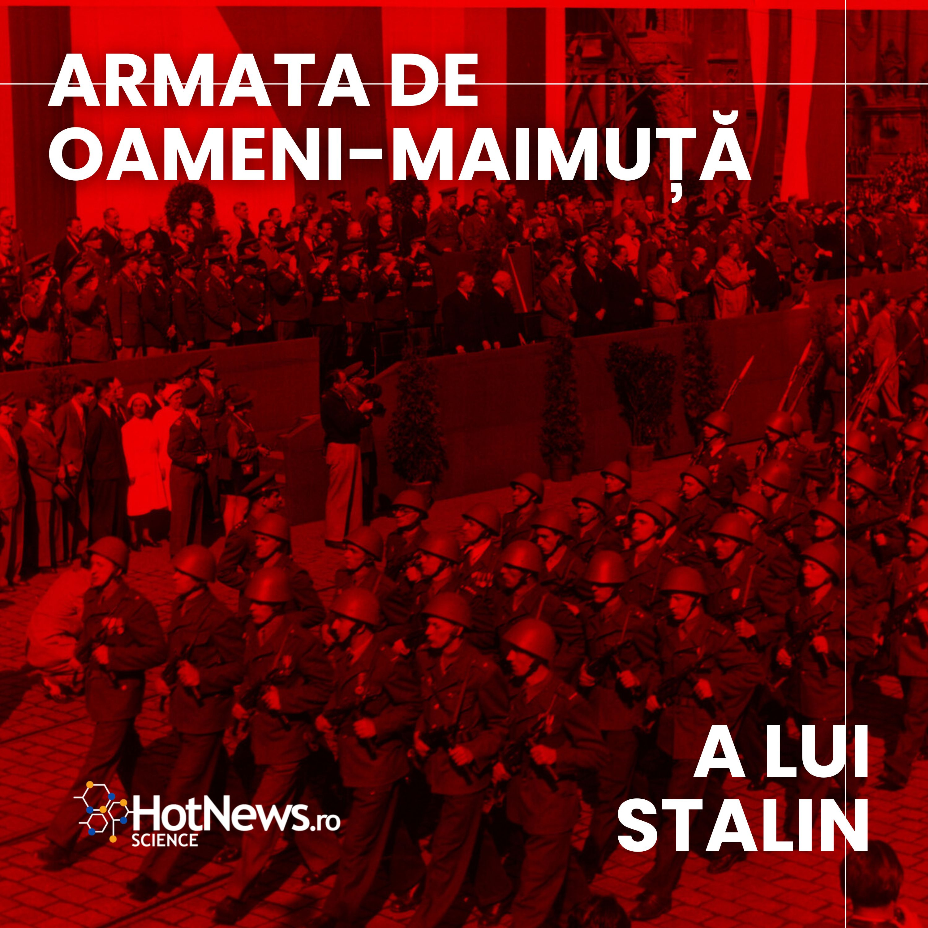 HotNews.ro