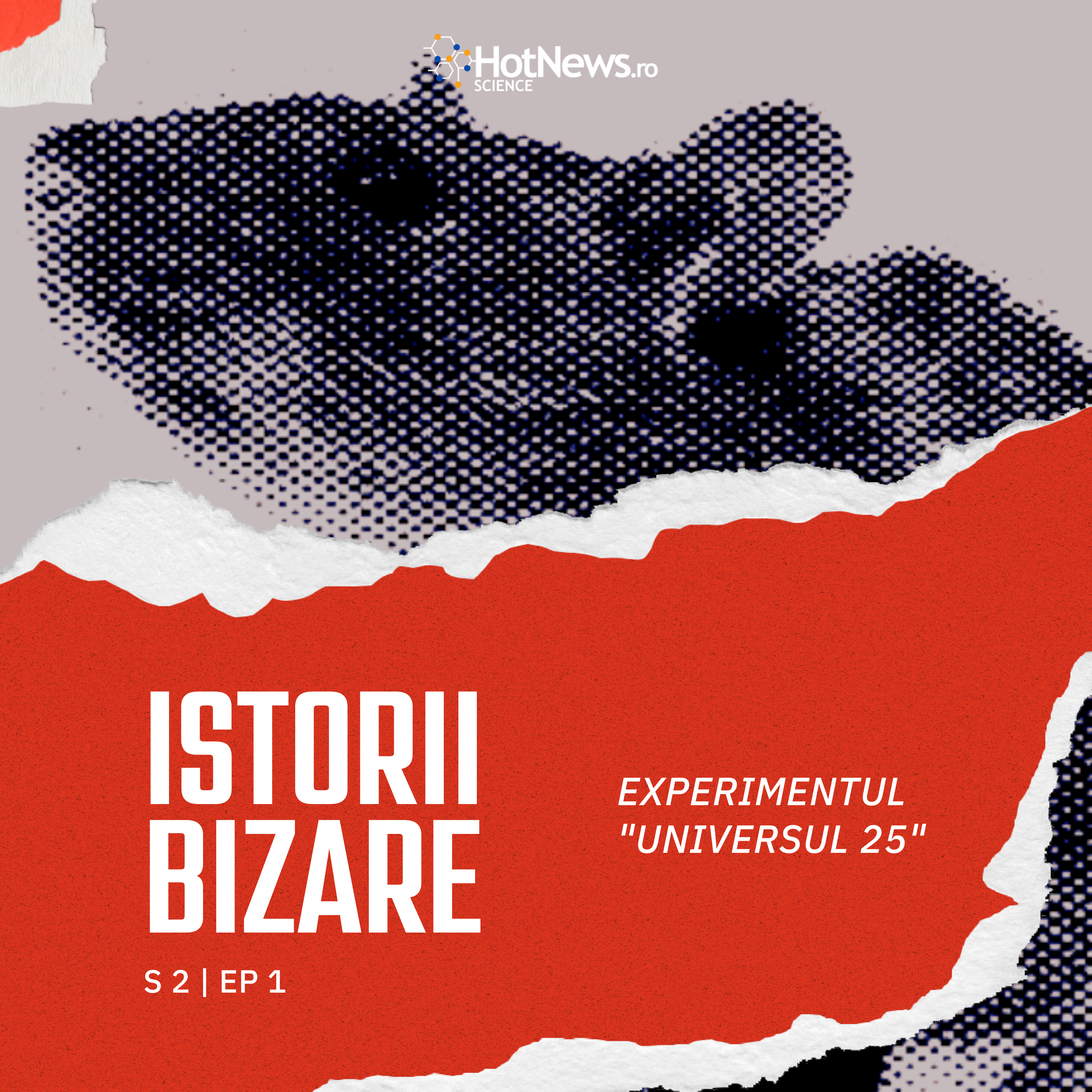 HotNews.ro