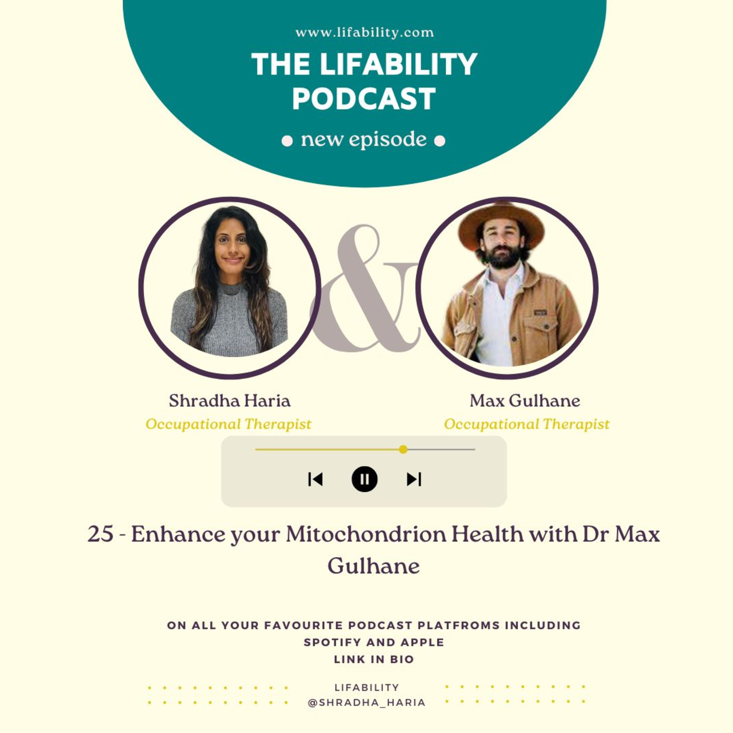 Lifability