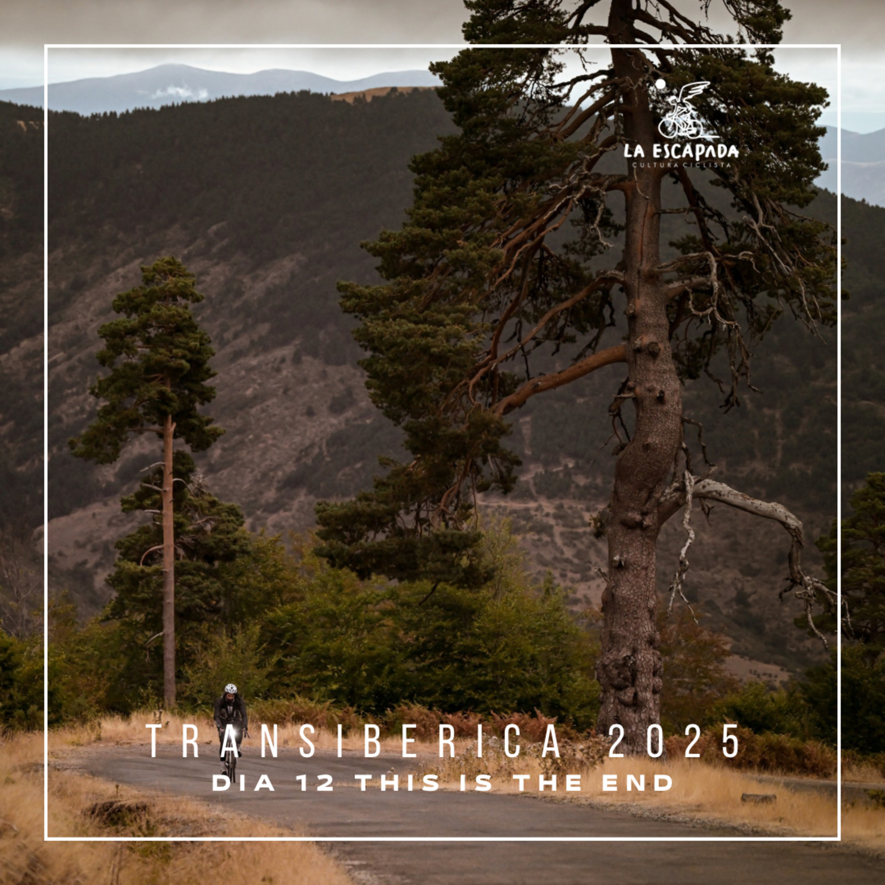 Transibérica 2025 | Ultraciclismo sin asistencia | Día 12 This is The End