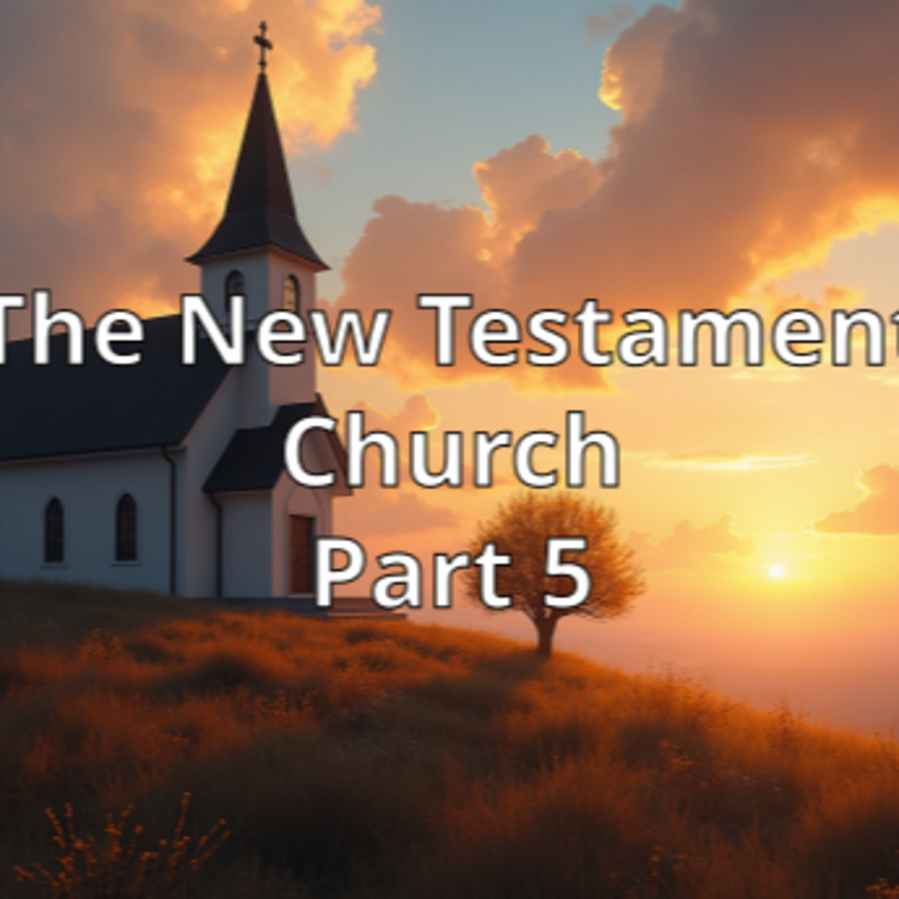 The New Testament Church Part 5
