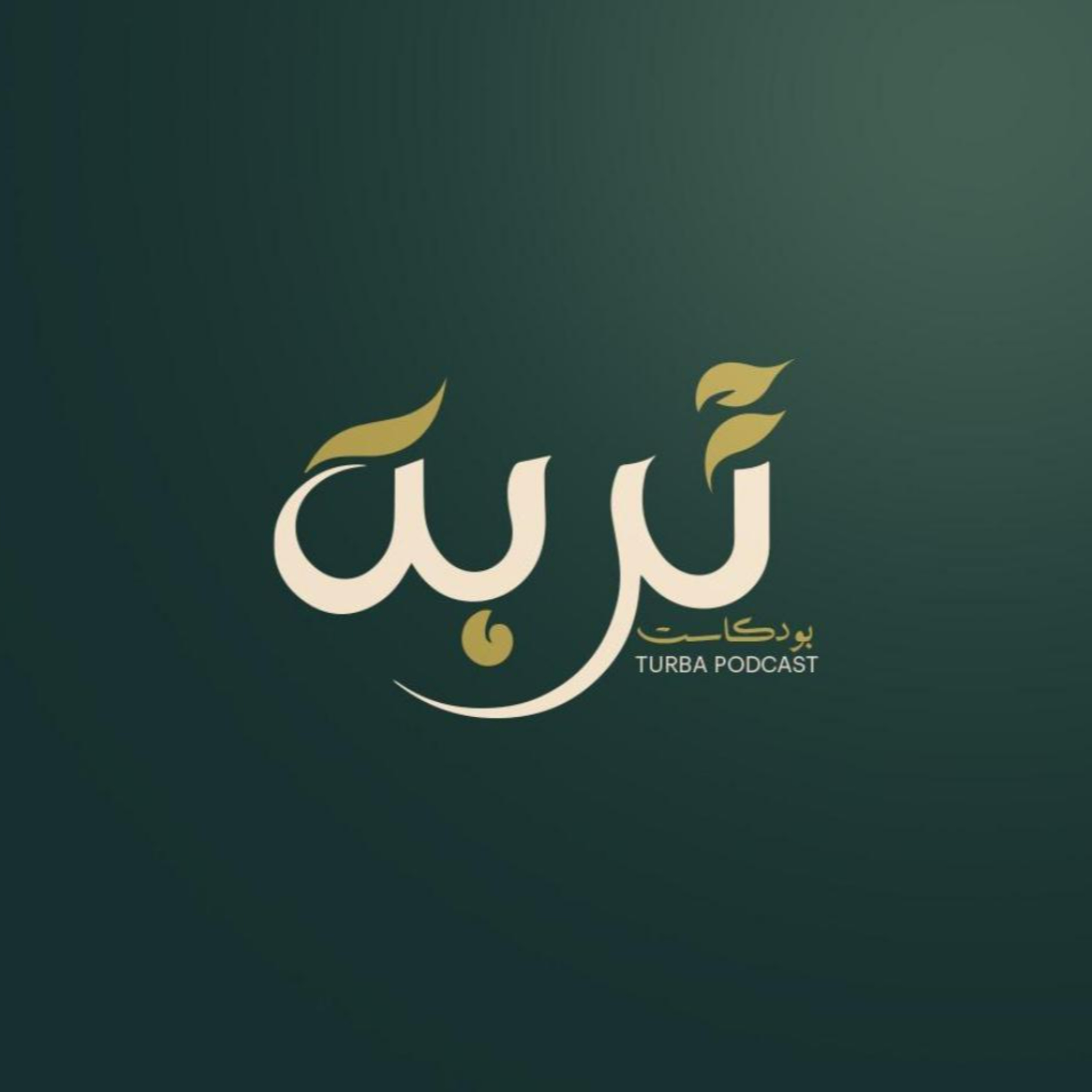 المانيا | لماذا ينجح الألمان؟ وكيف يرى العربي عملهم ونظامهم؟ episode artwork