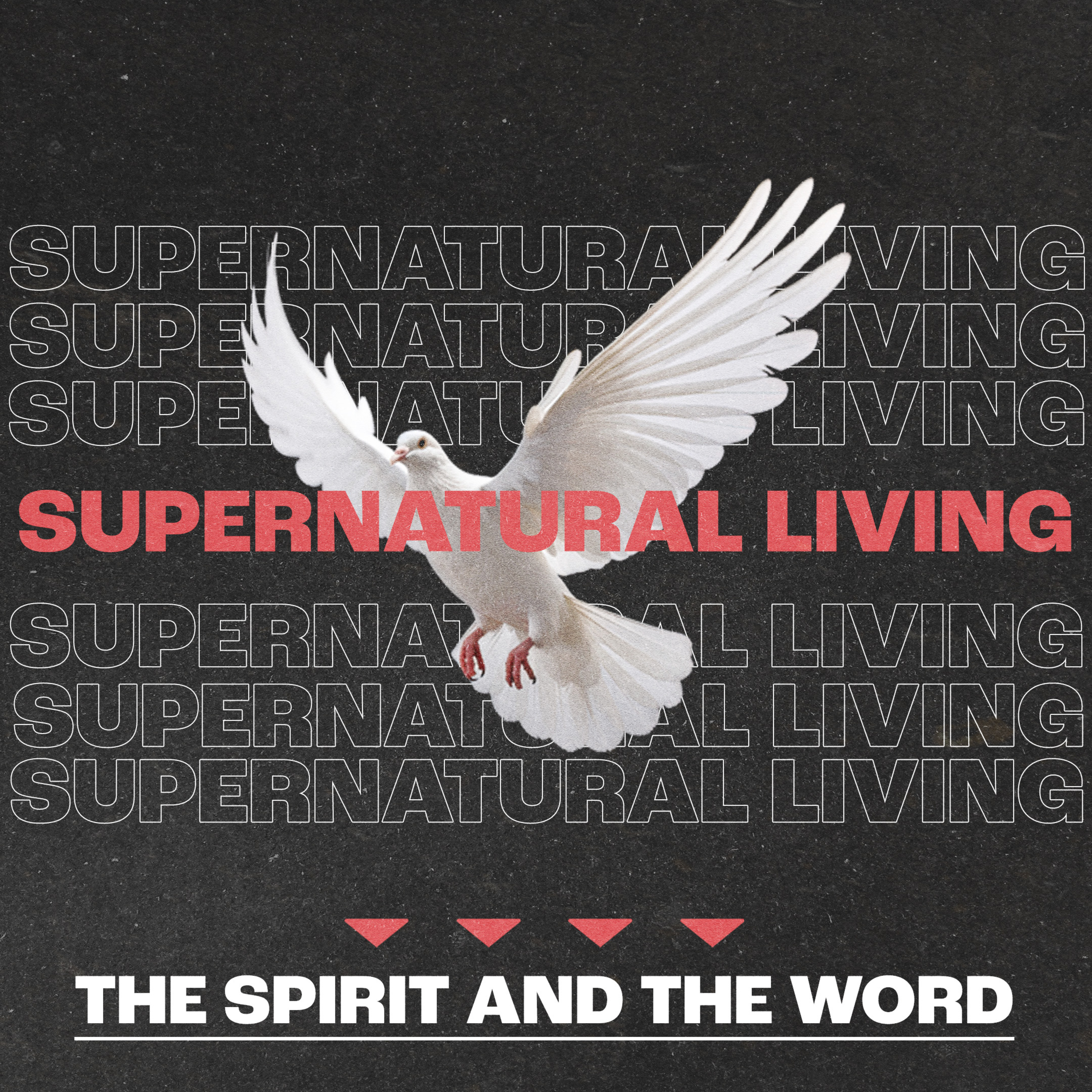 The Spirit & The Word {Supernatural Living Wk.1} - Pastor Ed Michael 03.30.25 episode artwork