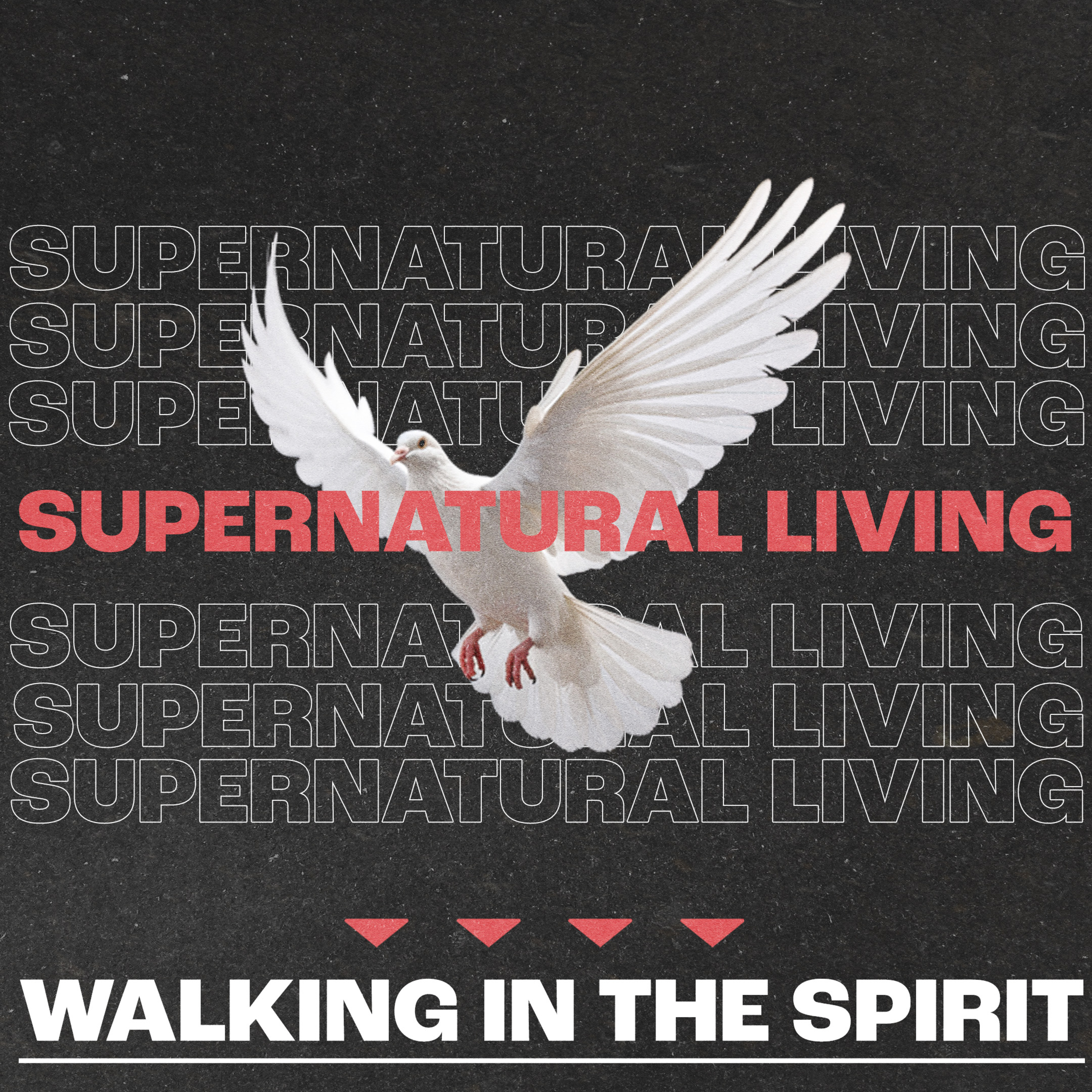 Walking In The Spirit {Supernatural Living Wk.3} - Pastor Ed Michael 04.13.25 episode artwork