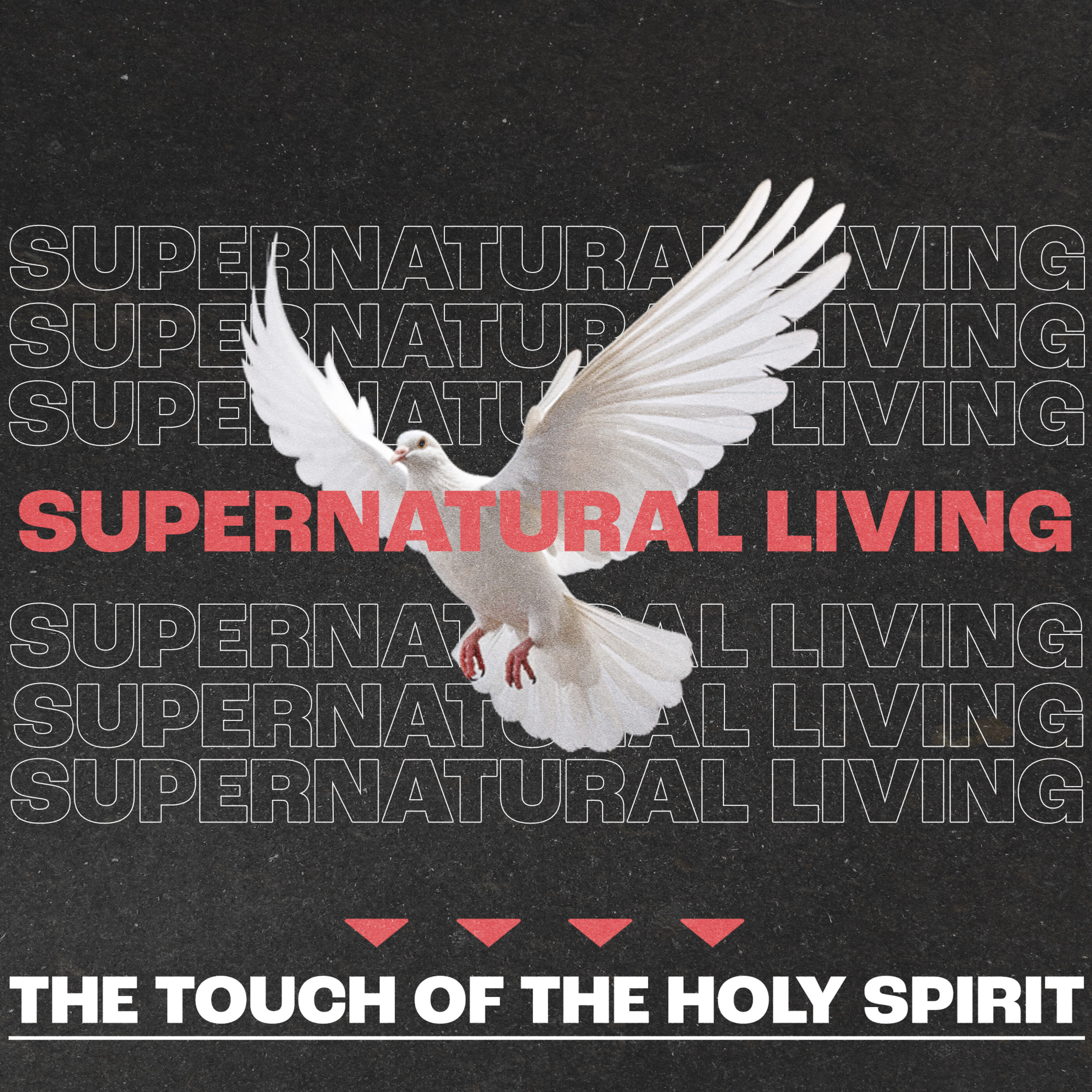 The Touch of The Holy Spirit {Supernatural Living Wk.5} - Pastor Ed Michael episode artwork