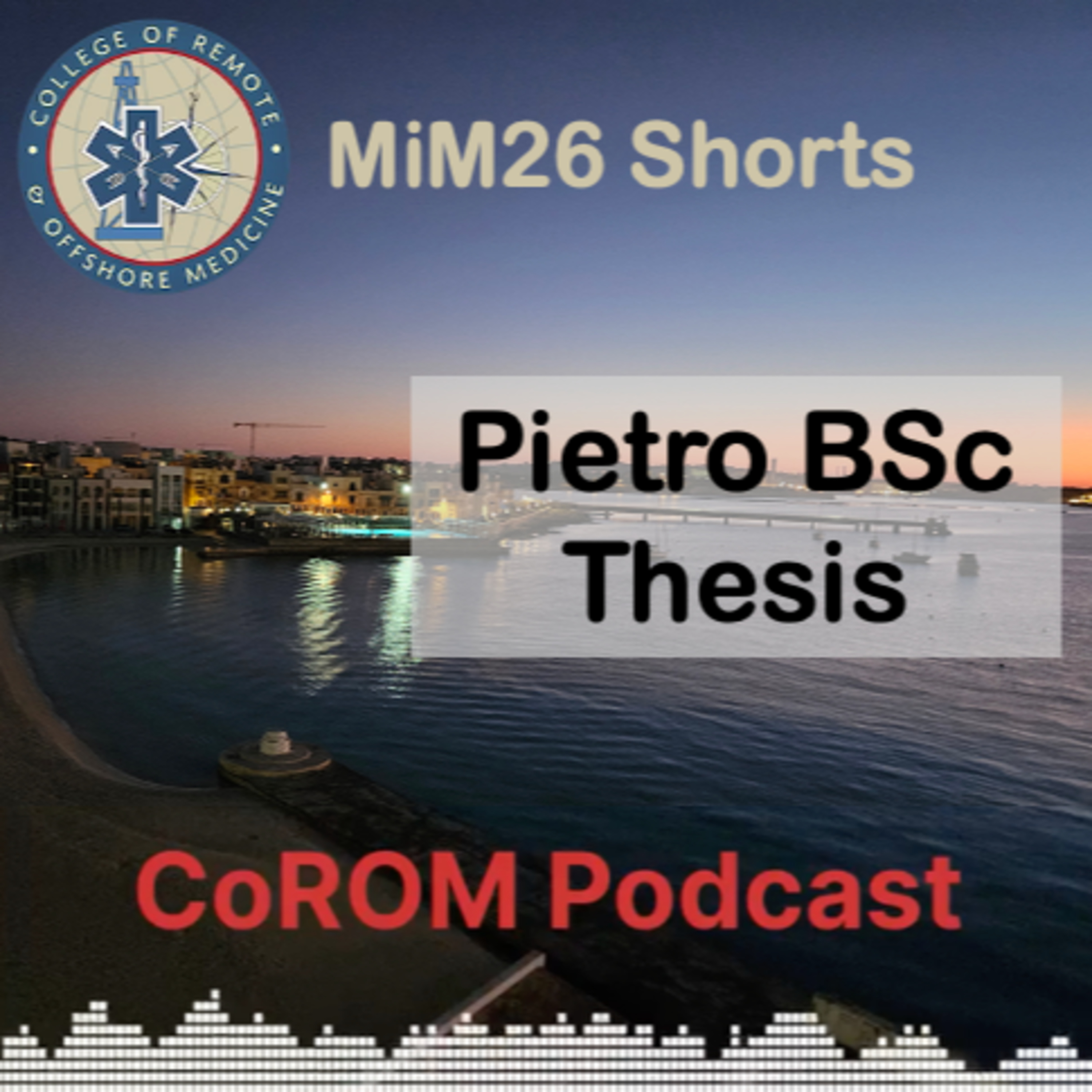 MiM26 Shorts - Pietro BSc Thesis episode artwork