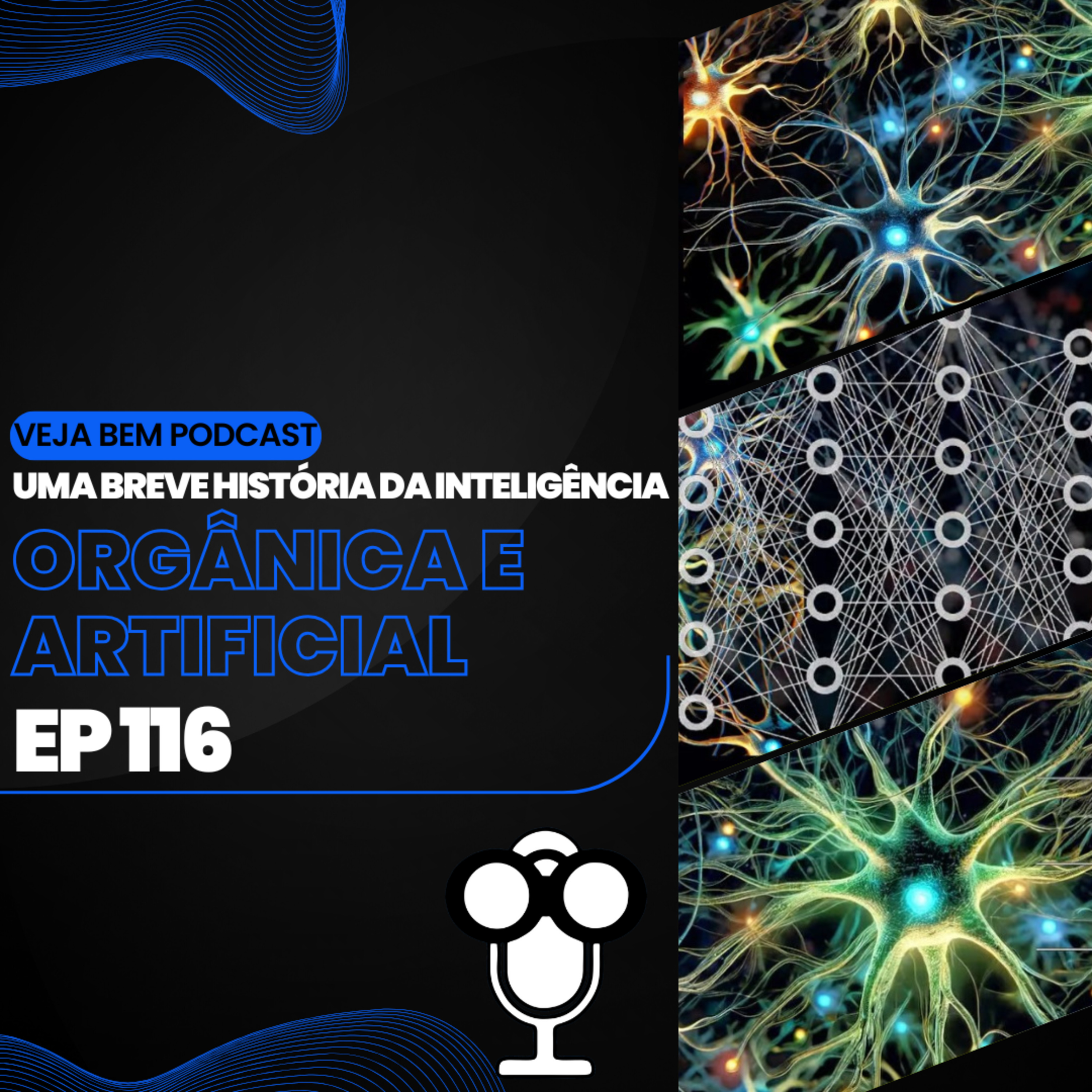 VBMais 116 - Uma Breve História da Inteligência - Orgânica e Artificial