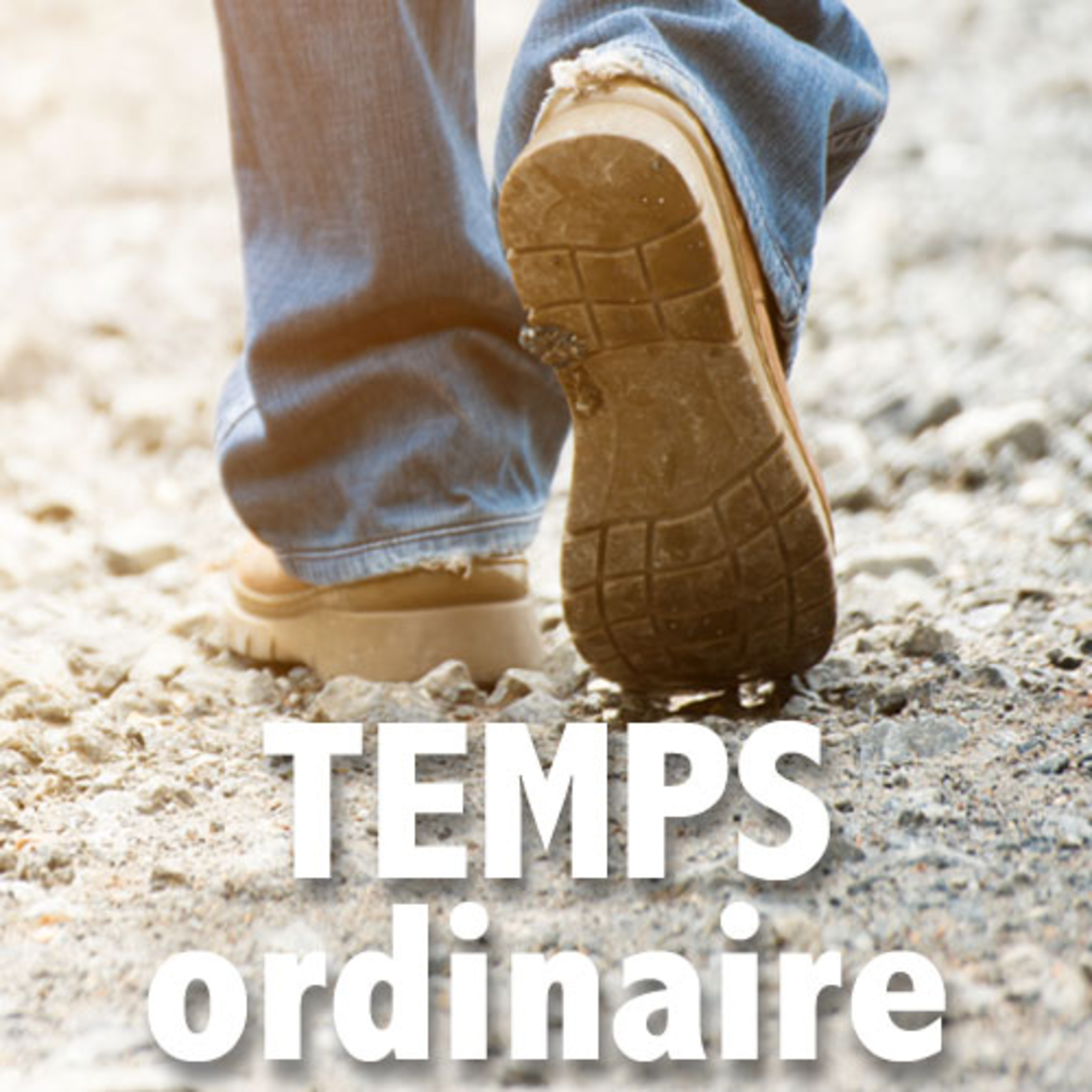 Les homélies de Saint-Thomas