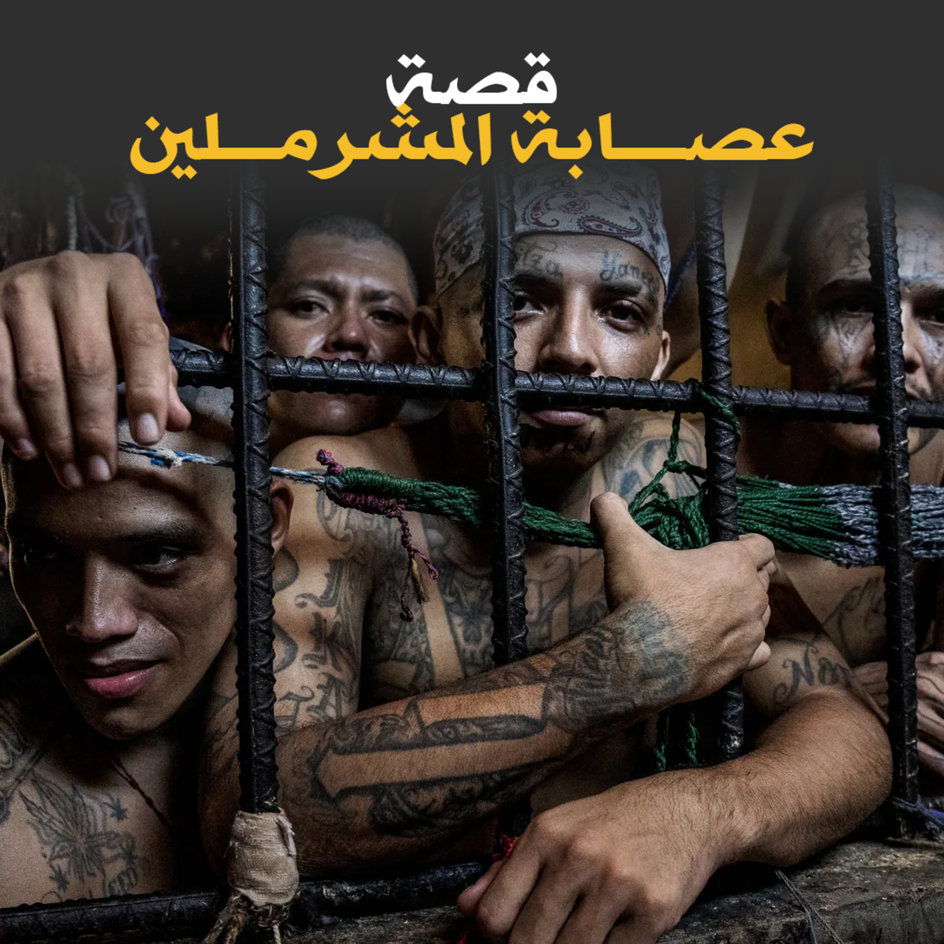 عصابة المشرملين - قصة كاملة episode artwork