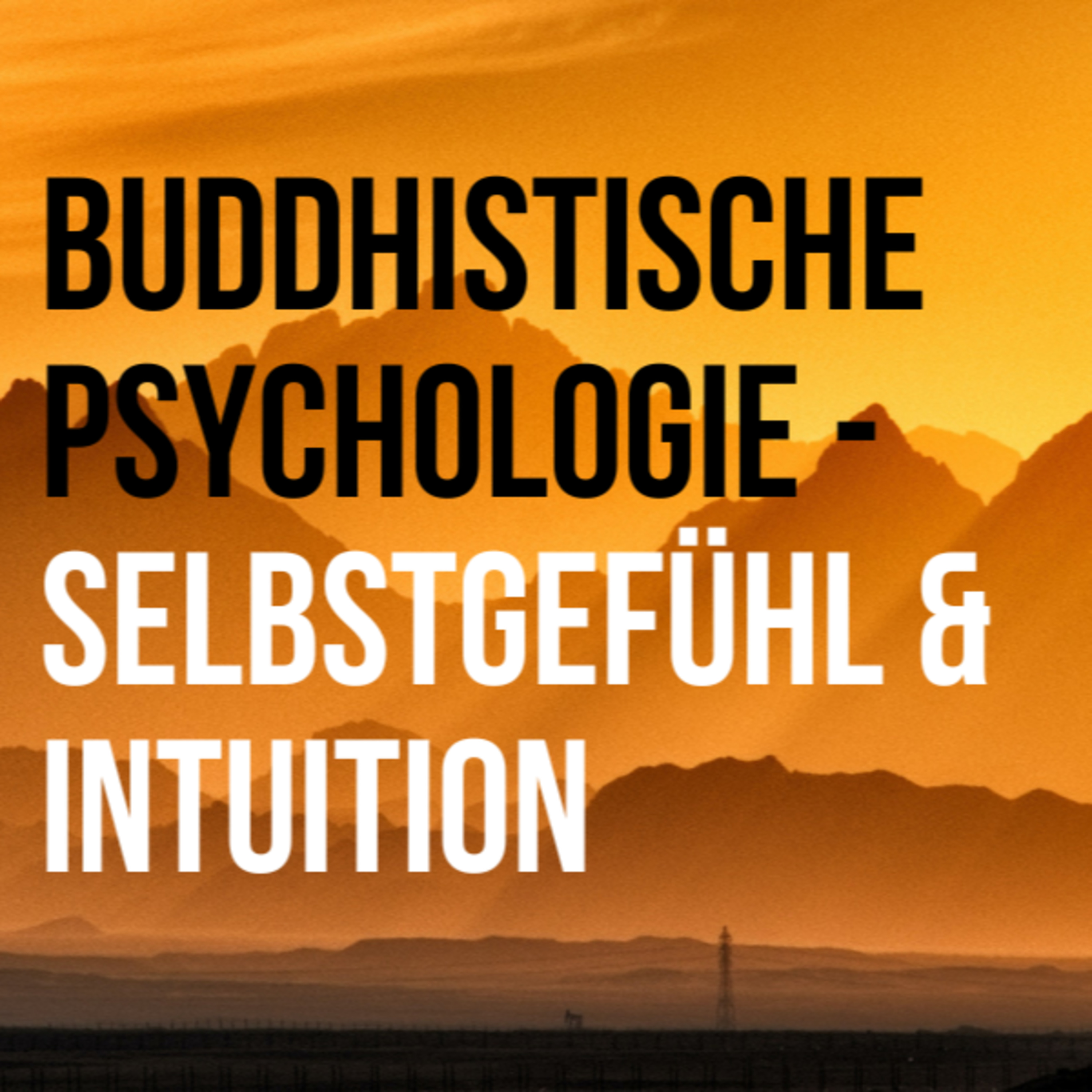 Psychologie in der Tiefe: Geist, Selbsterkenntnis und Wandel