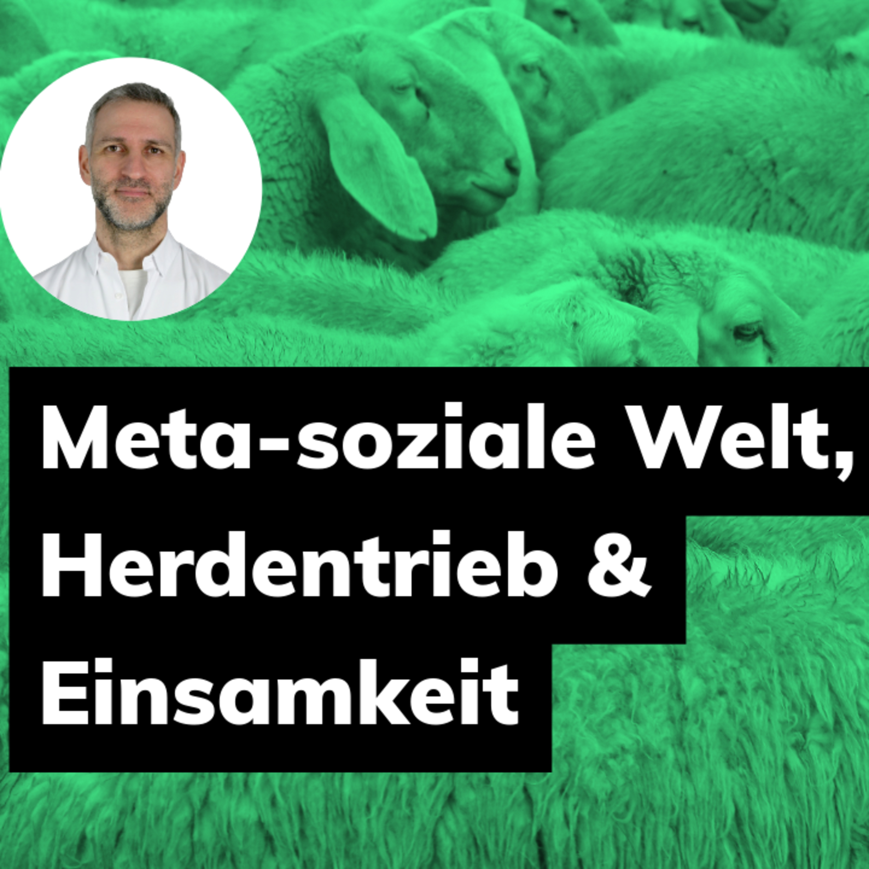 Psychologie in der Tiefe: Geist, Selbsterkenntnis und Wandel