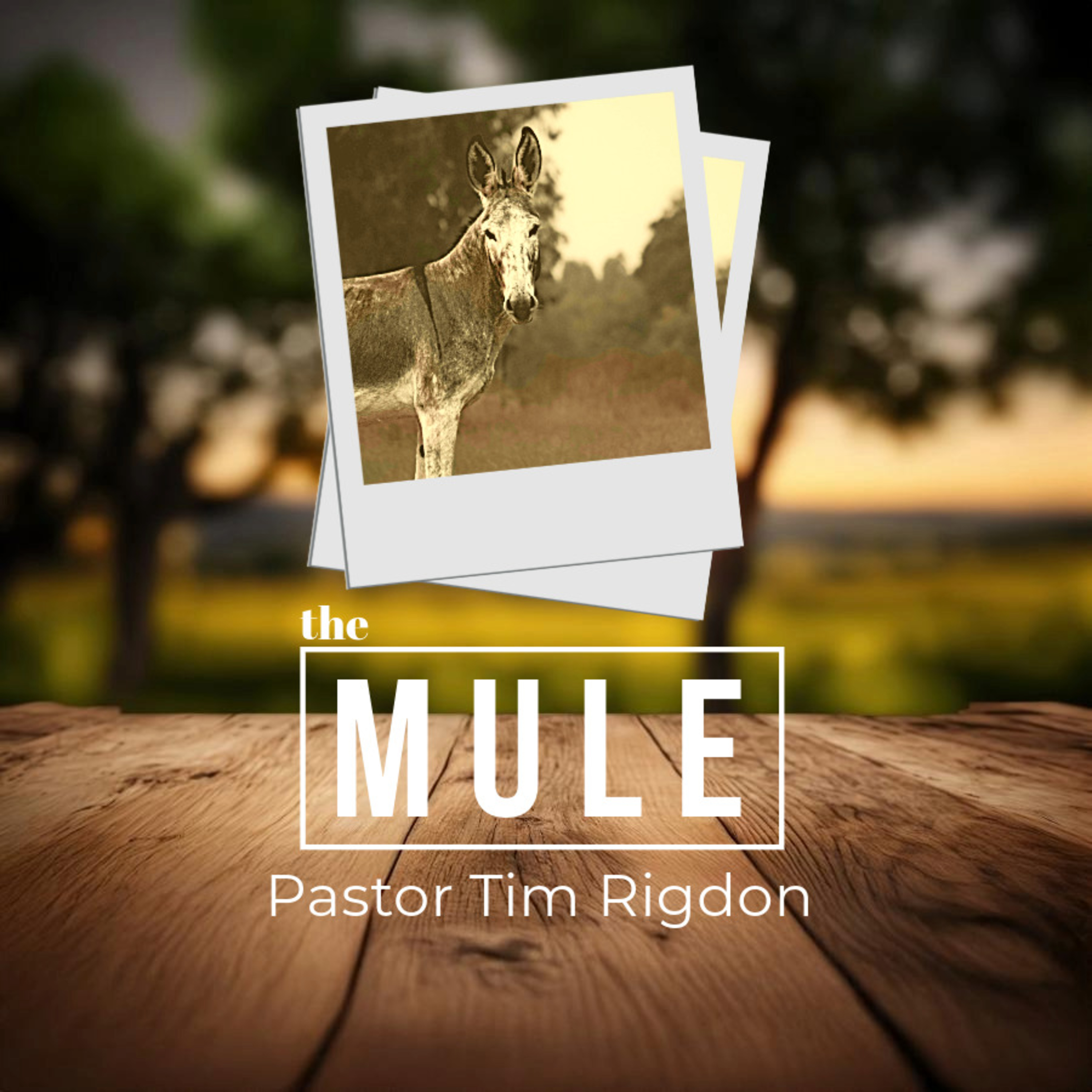The Mule episode artwork