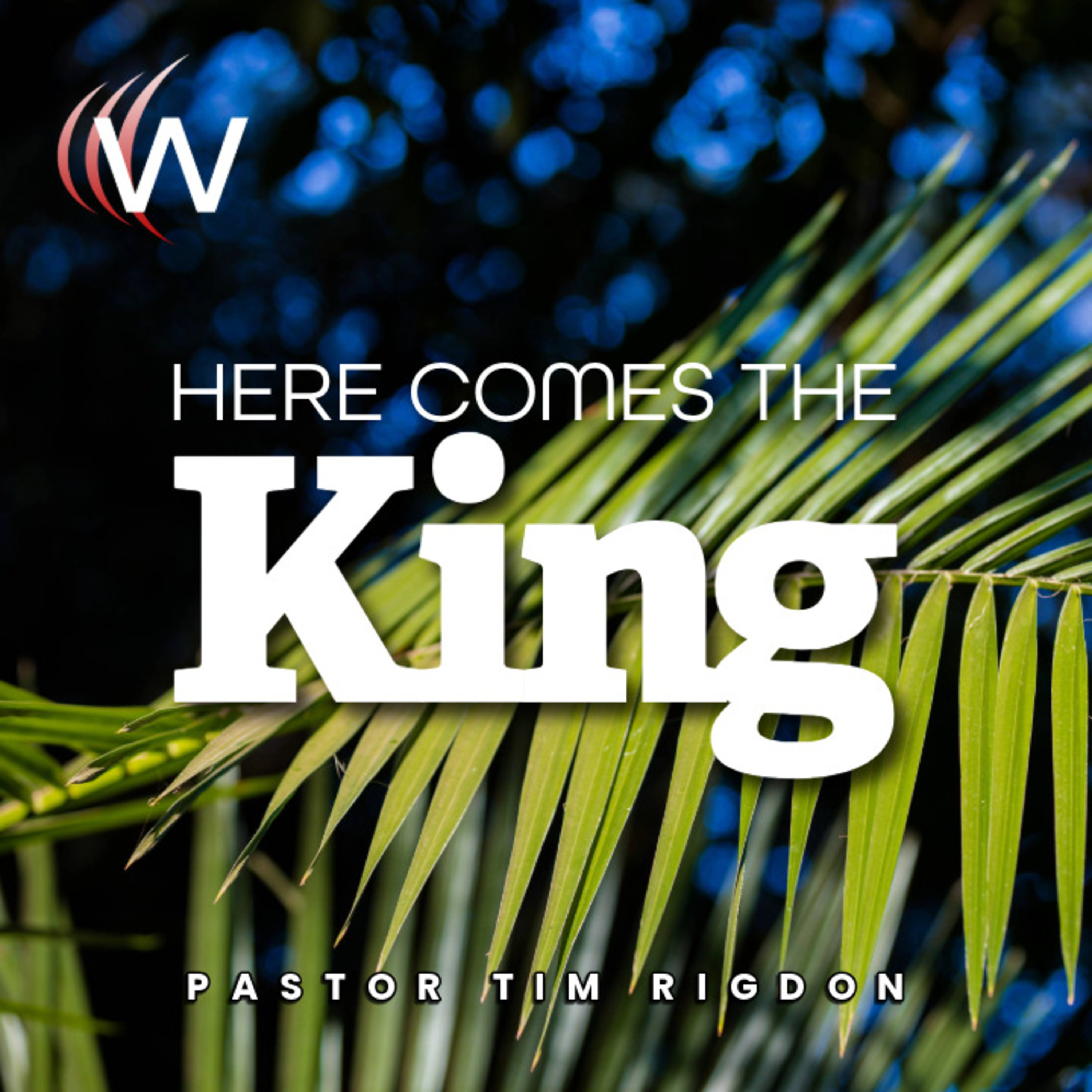 Here Comes the King
