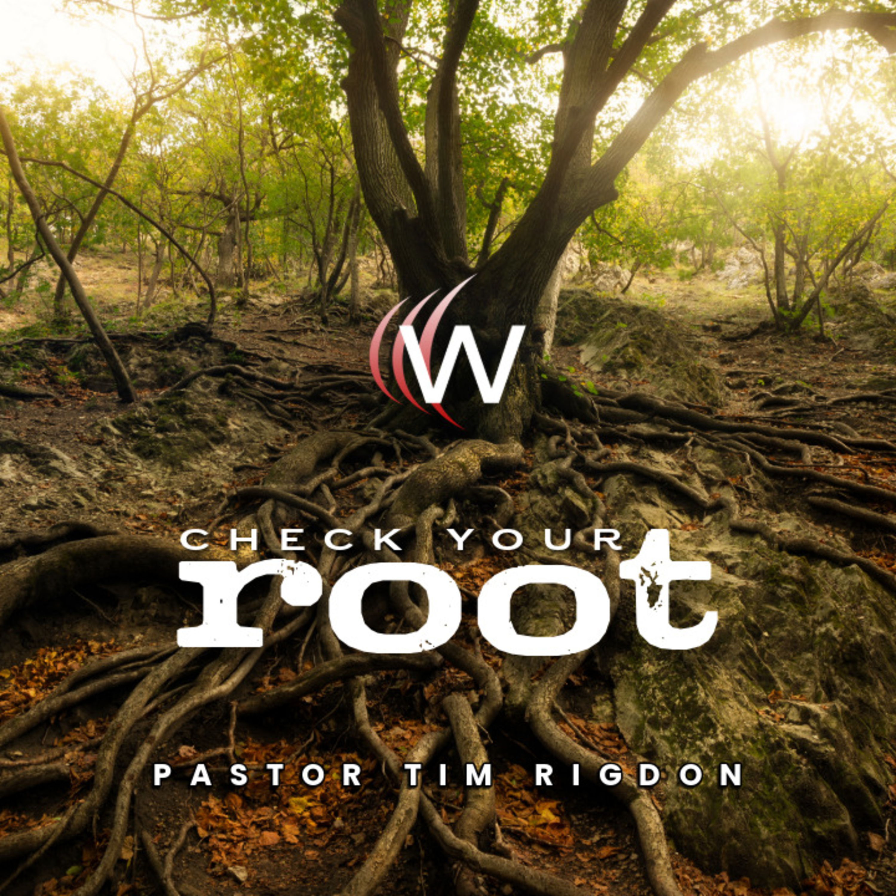 Check Your Root