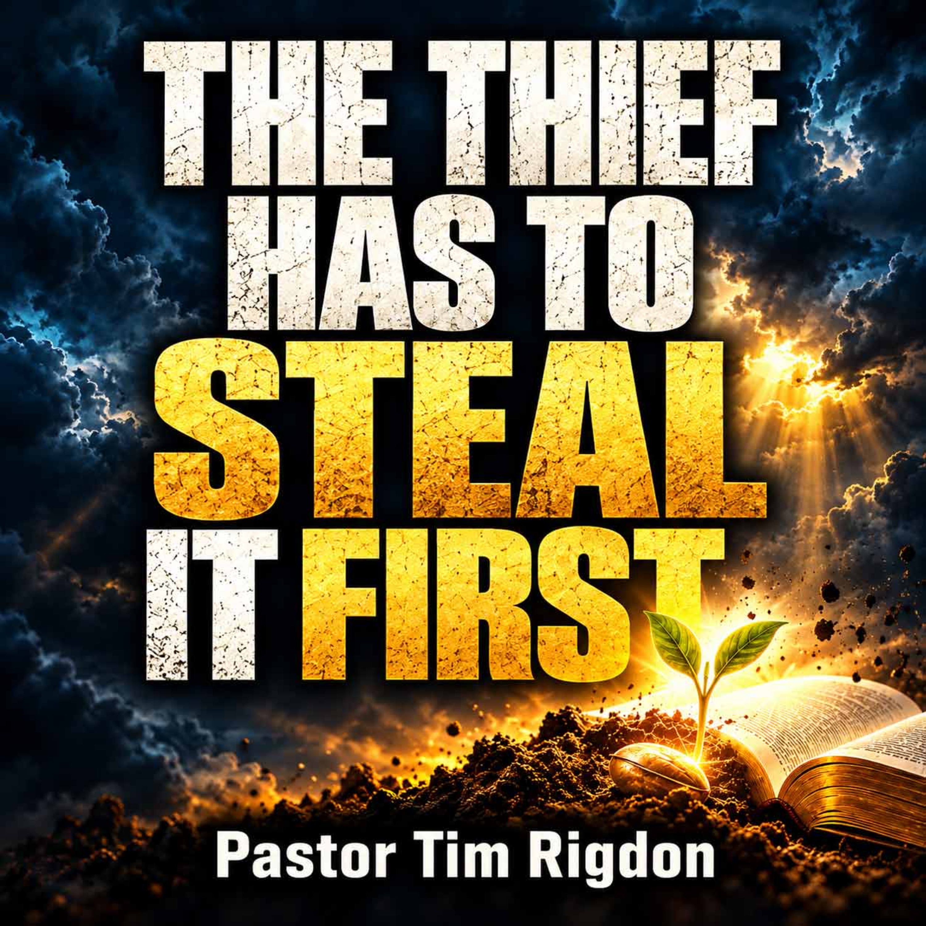 The Thief Has To Steal It First