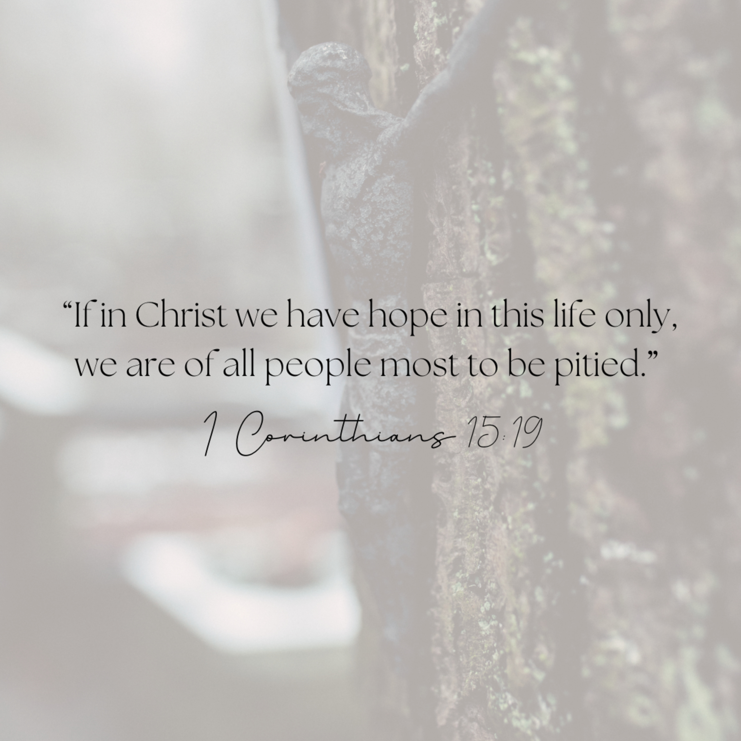 241. Who Is Jesus?