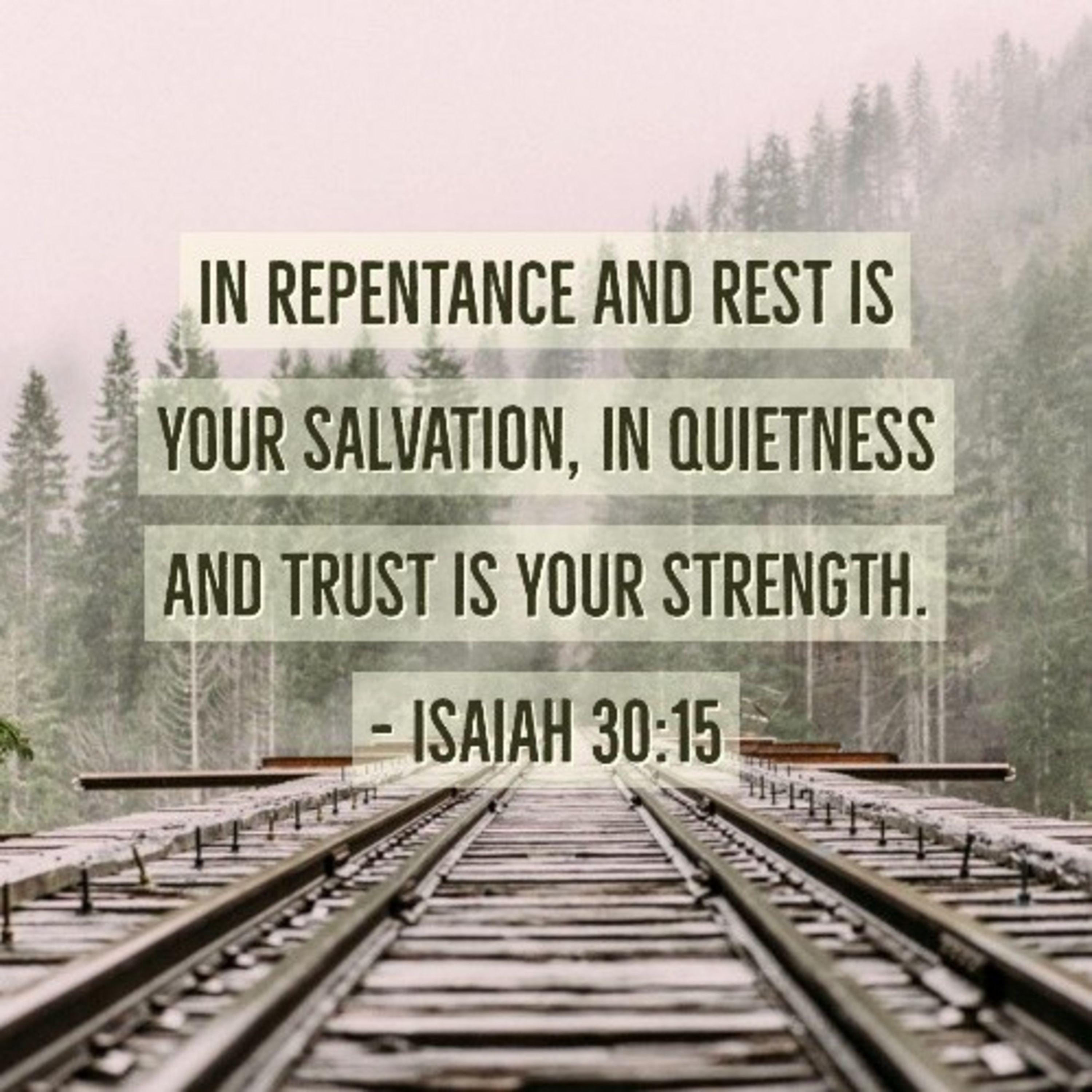 301. Quietness and Trust