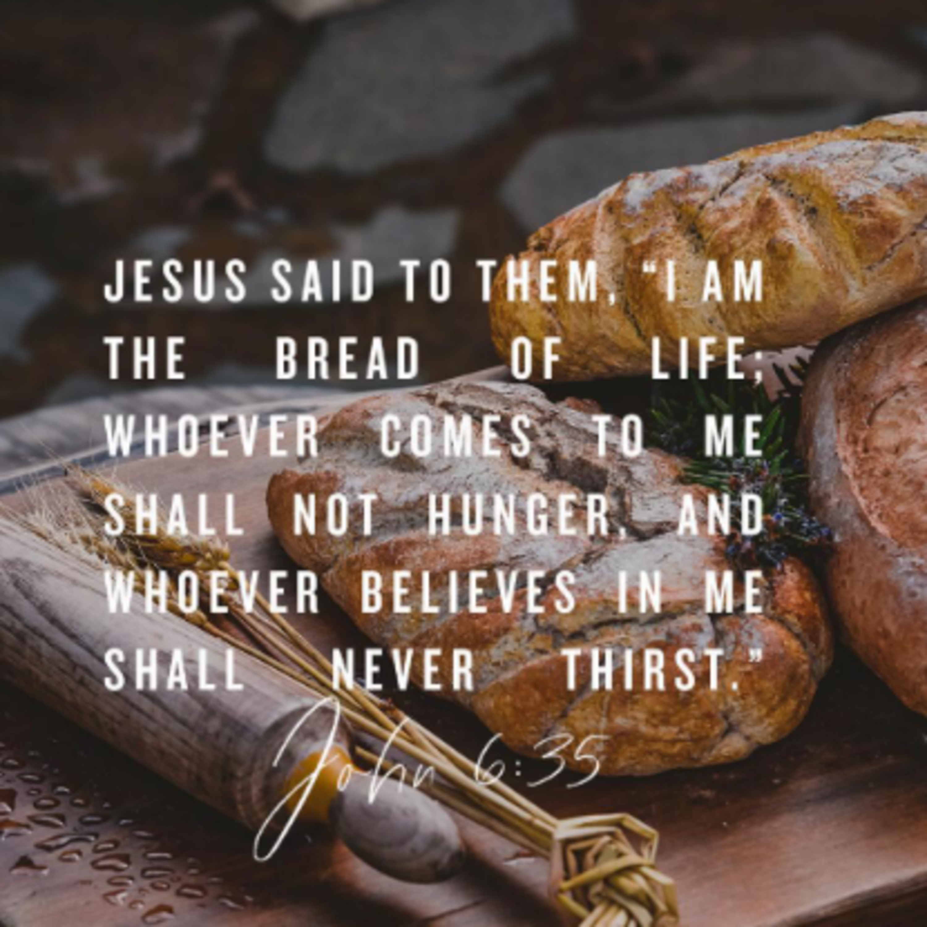 351. Fresh Bread episode artwork
