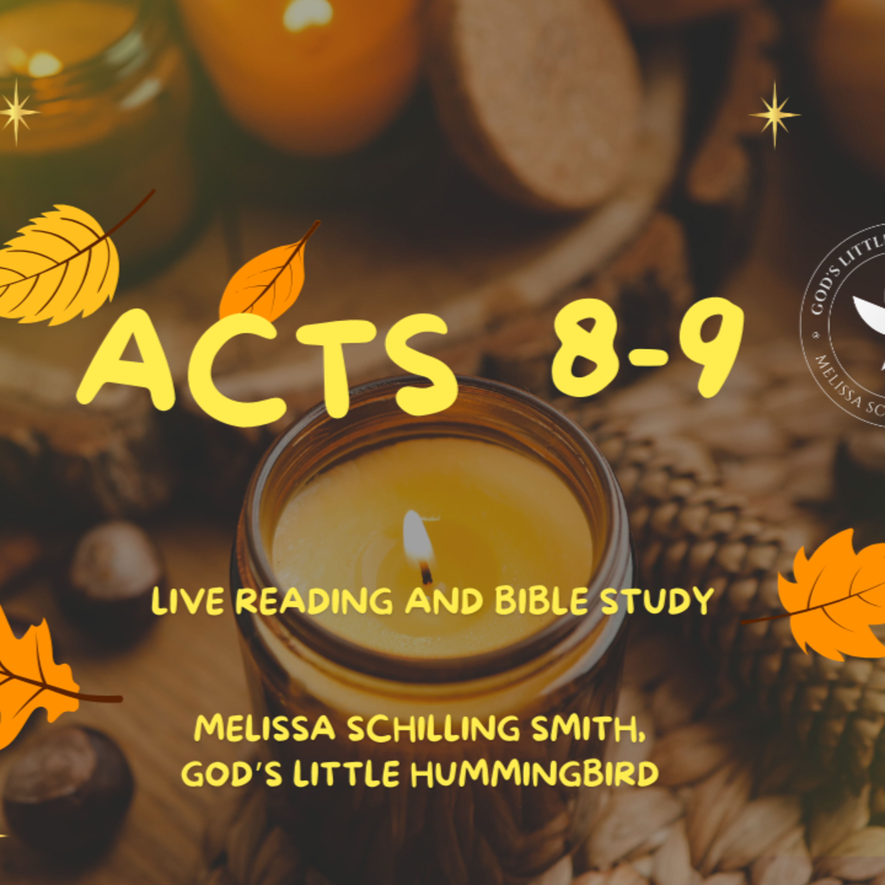 Acts 8-9 episode artwork