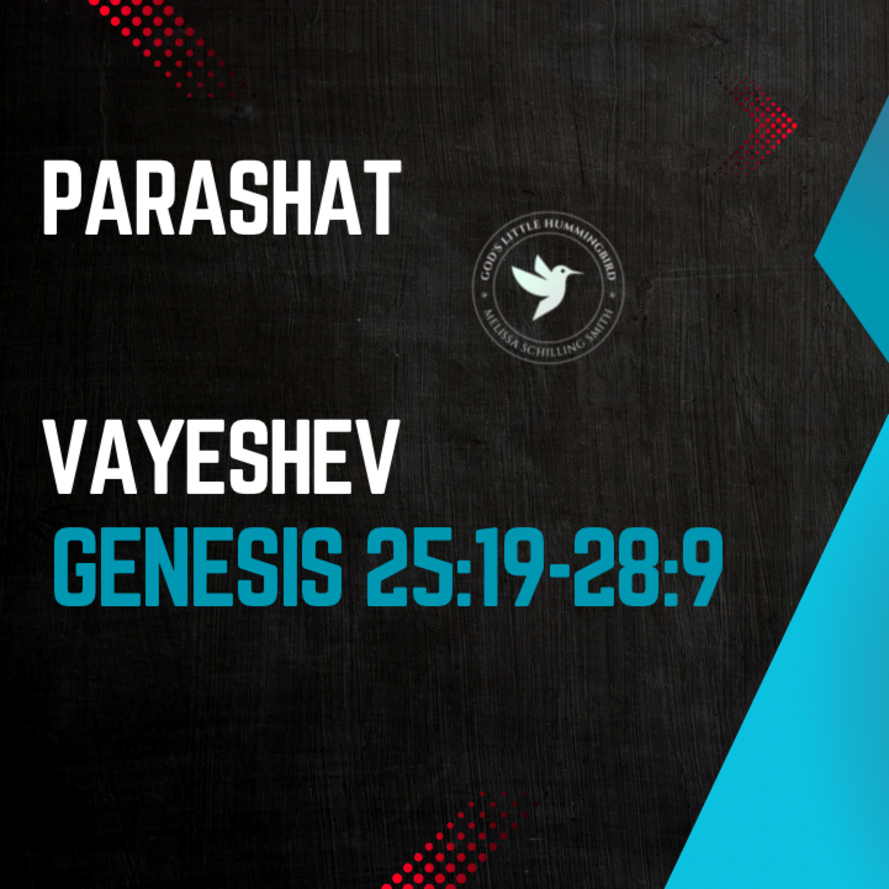Parashat Vayeshev- Joseph A Picture of Messiah Genesis 37-40:23 episode artwork