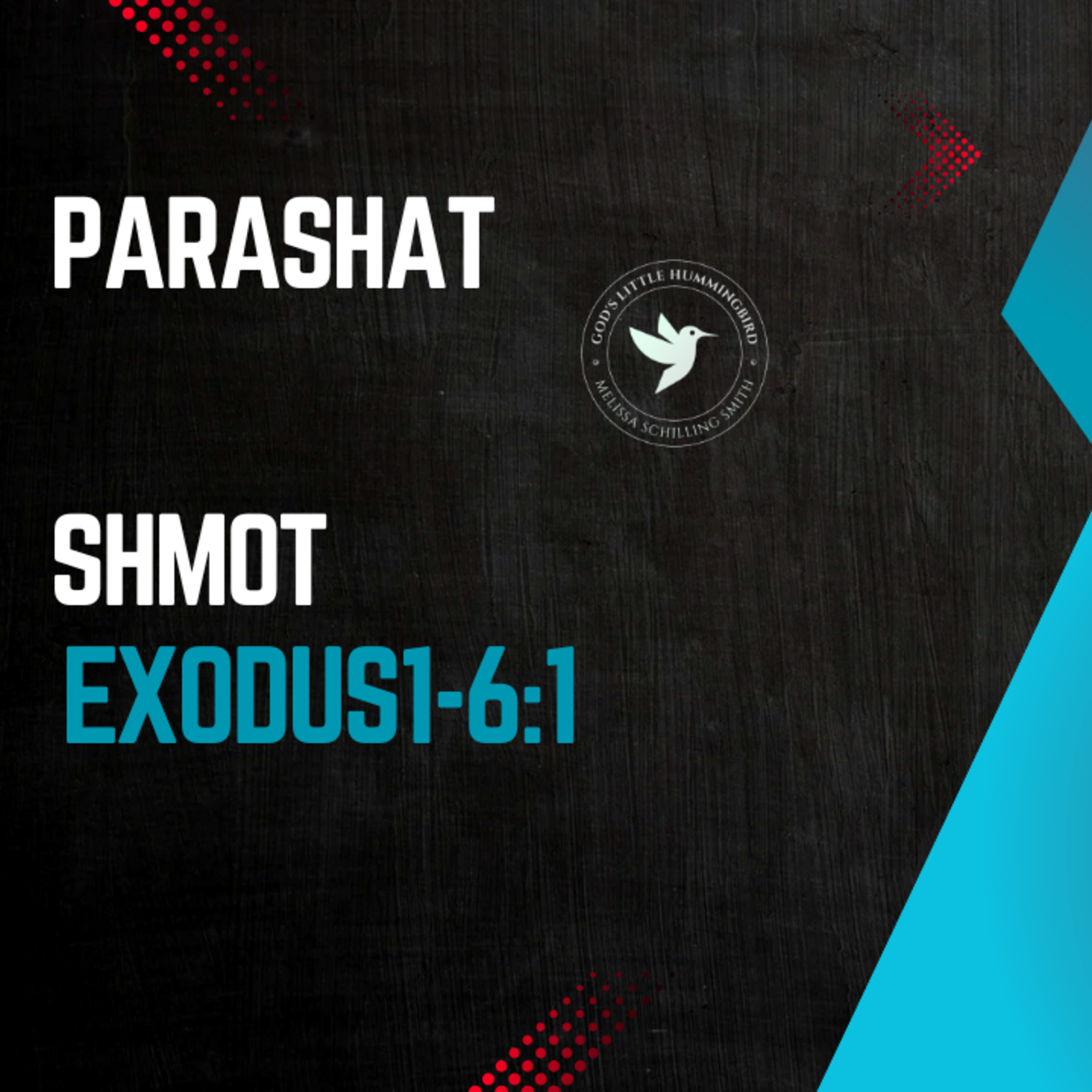 Parashat Shmot: Exodus 1-6:1 episode artwork