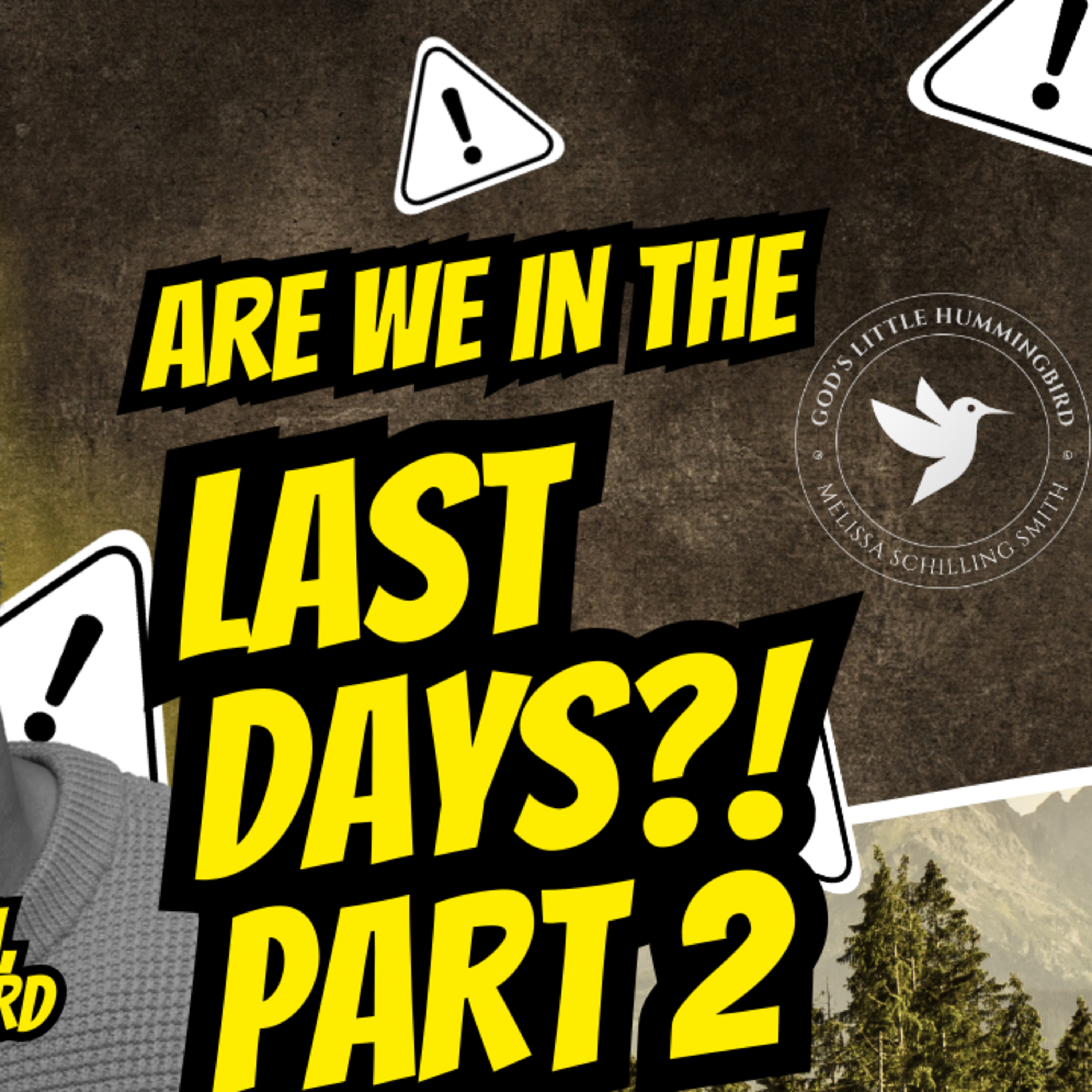 Are We in the Last Days Part 2: Daniel 7-12, The Board of Peace, Trump, Etc. episode artwork