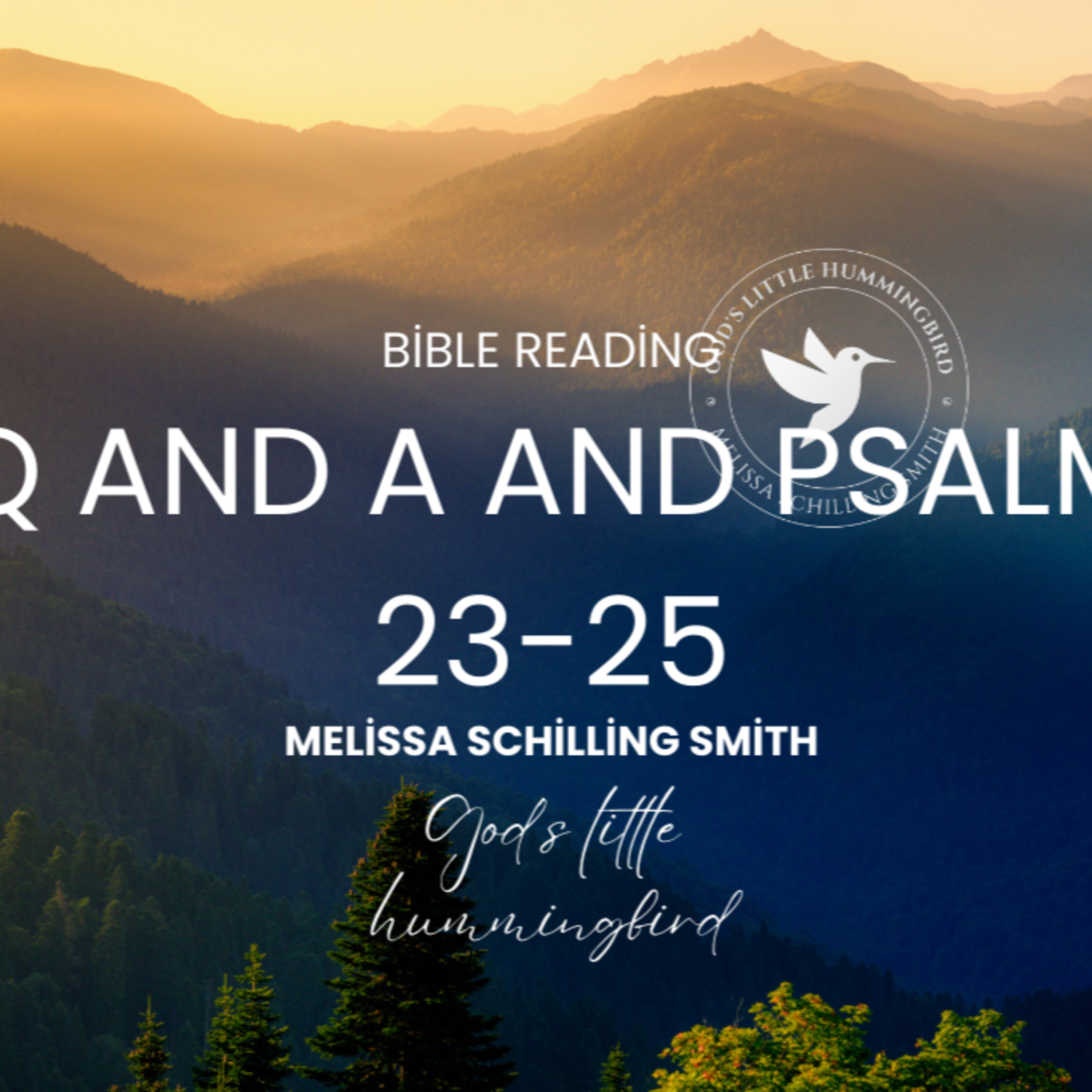 Q and A and Bible Reading of Psalm 23-25 episode artwork