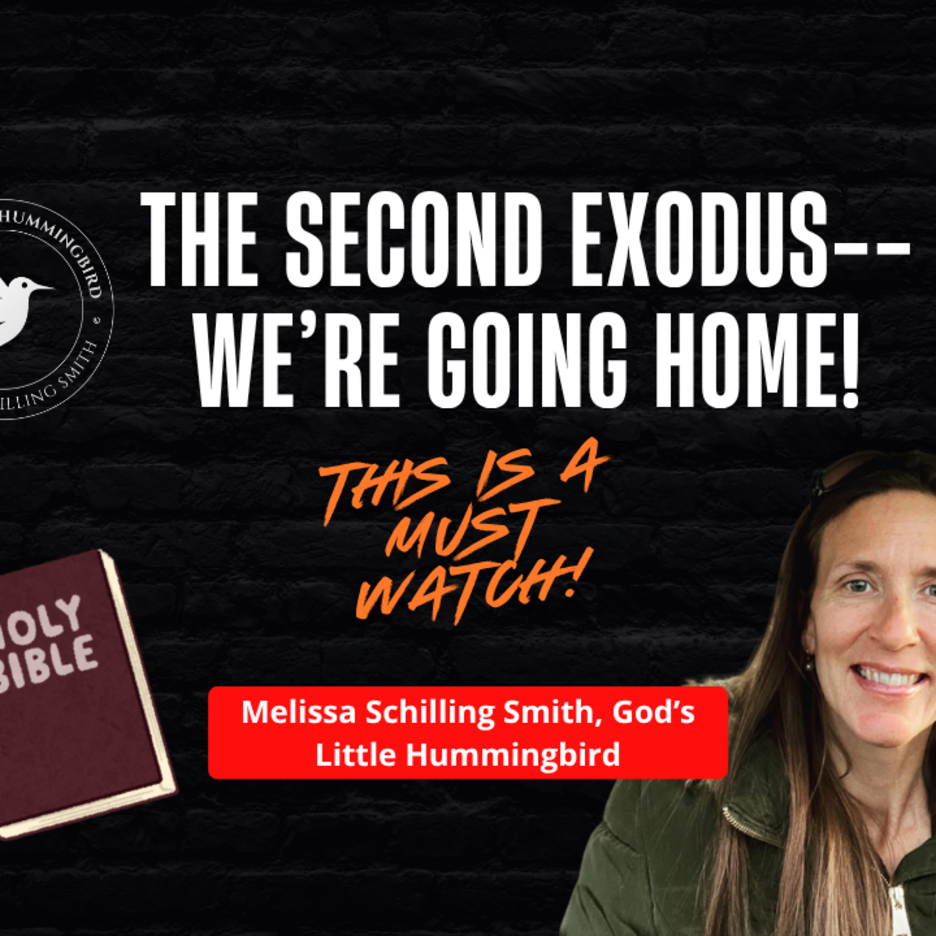 The Second Exodus--You've Got to Hear This! episode artwork