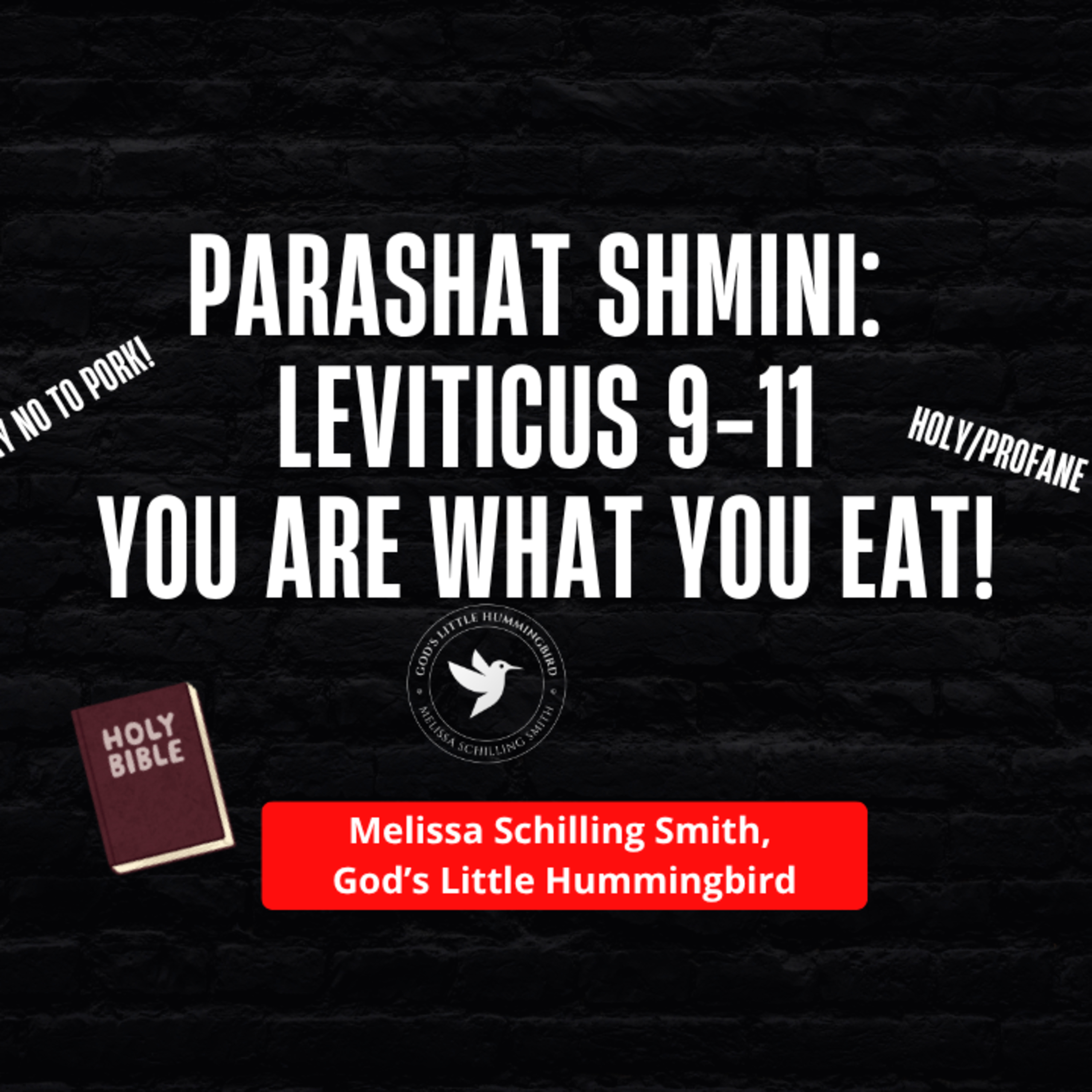 Parashat Shmini: Leviticus 9-11 episode artwork