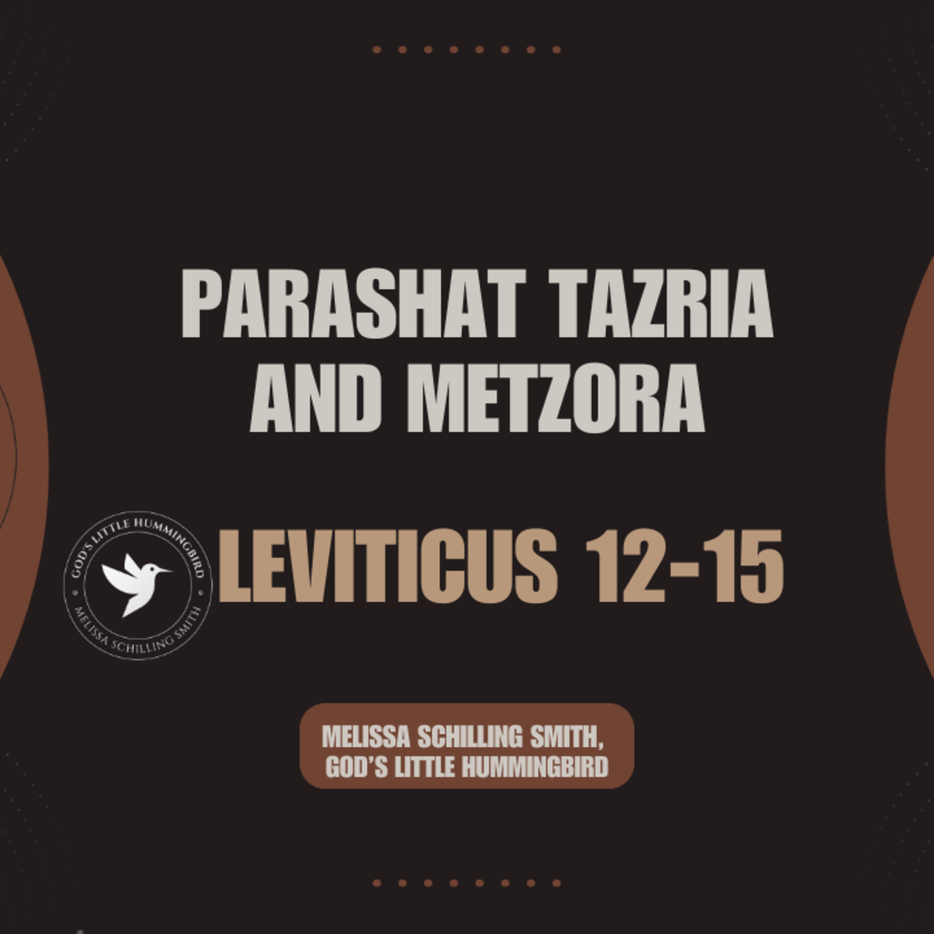 Parashat Tzaria and Metzora episode artwork