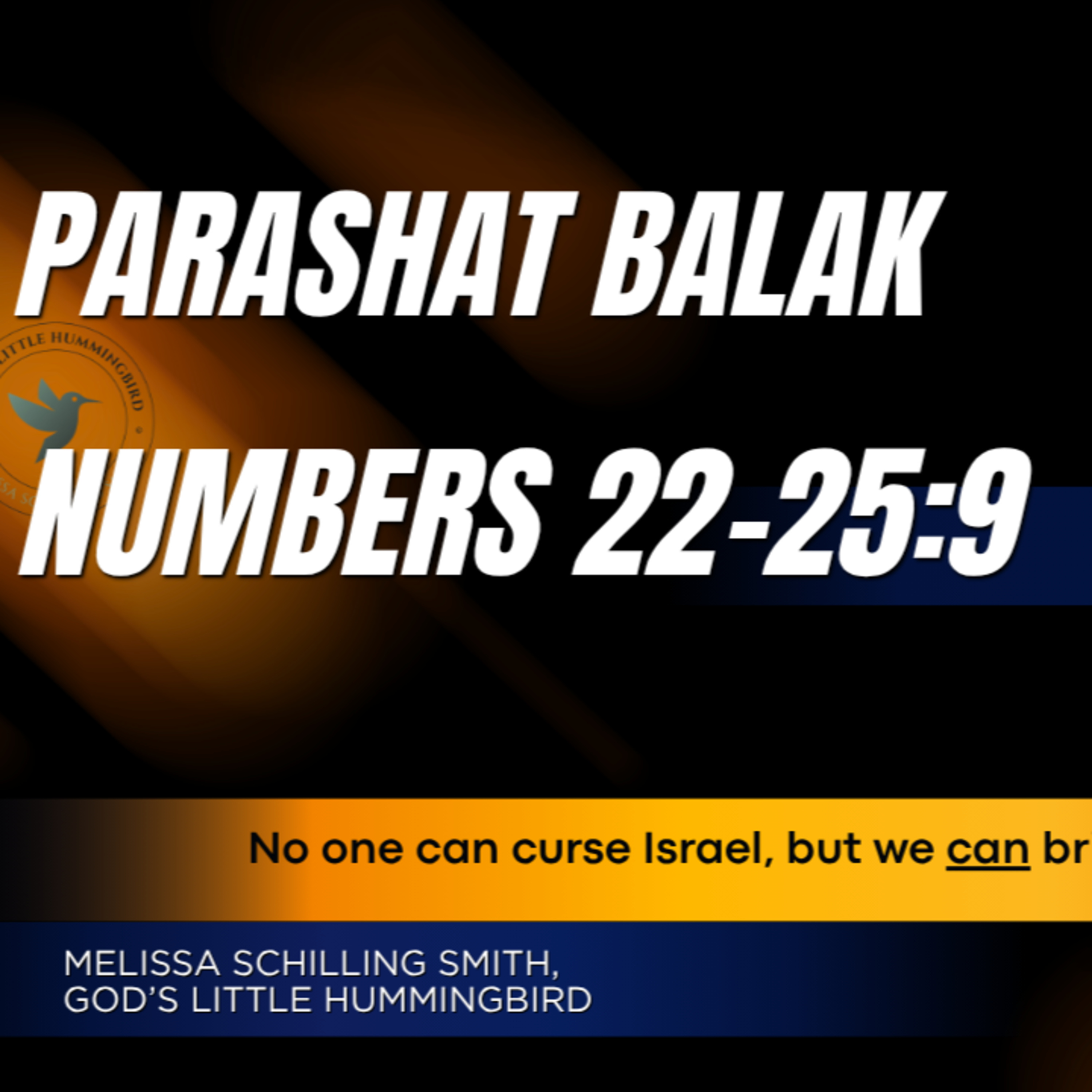 Parashat Balak: Balaam and the Donkey-Numbers 22-25:9 episode artwork