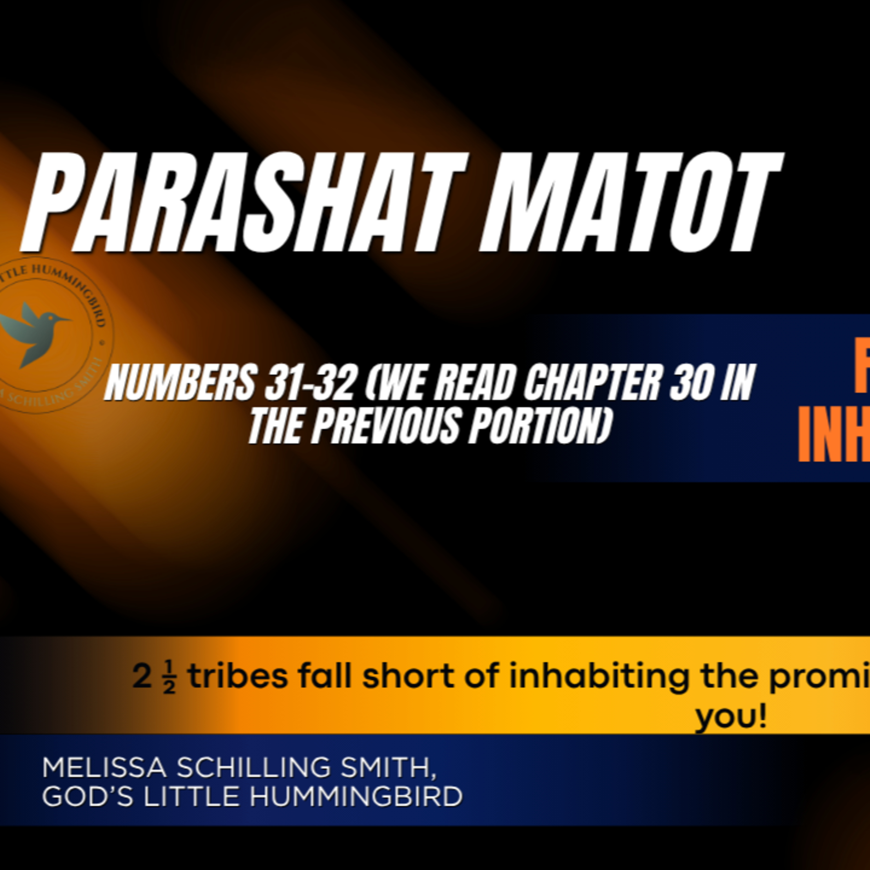 Parashat Matot: Numbers 31-32 Fight the Enemy and Inherit Your Possession in the Promised Land! episode artwork
