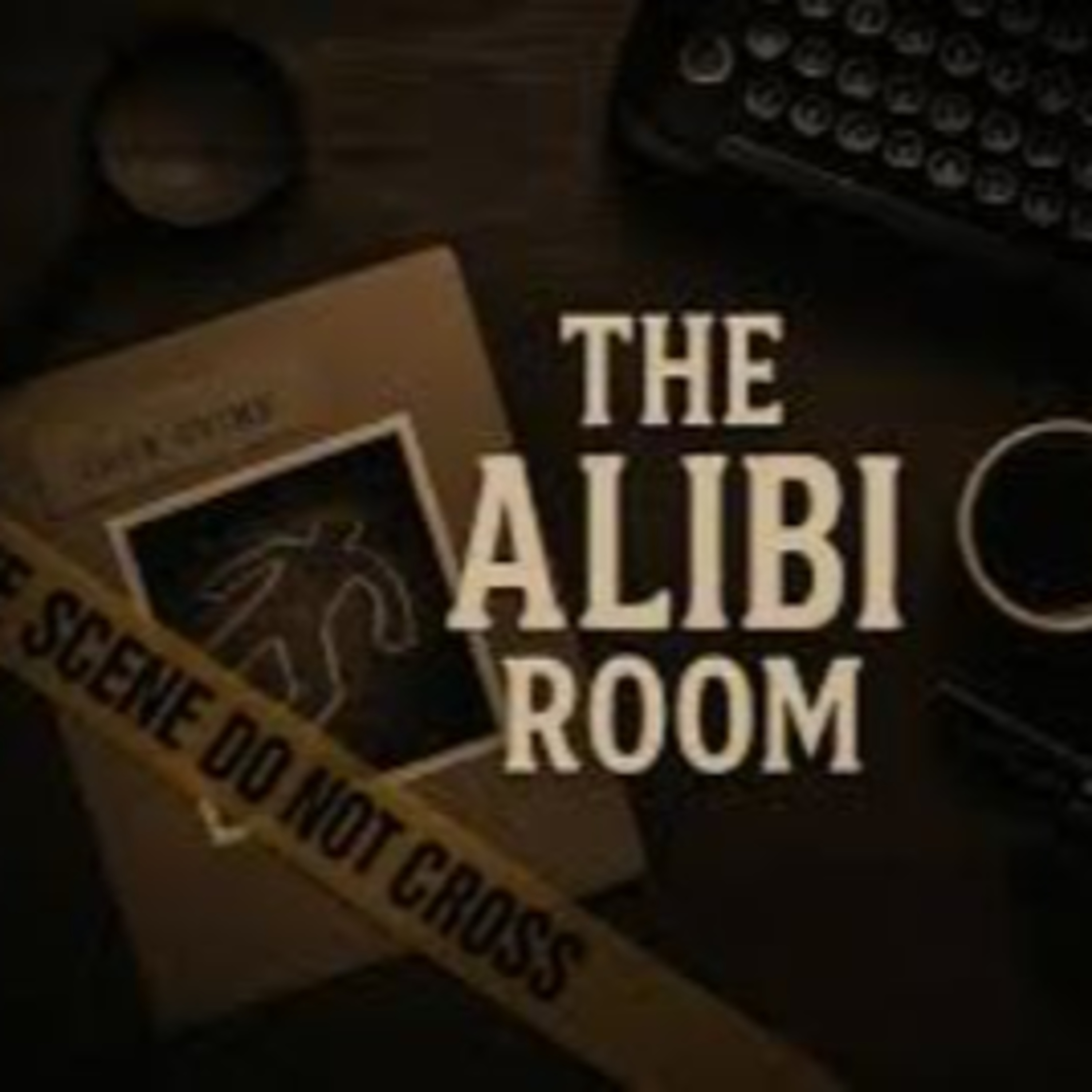 Podcast Interview with Author and Online Bookstore Owner Charli Nyberg!! episode artwork