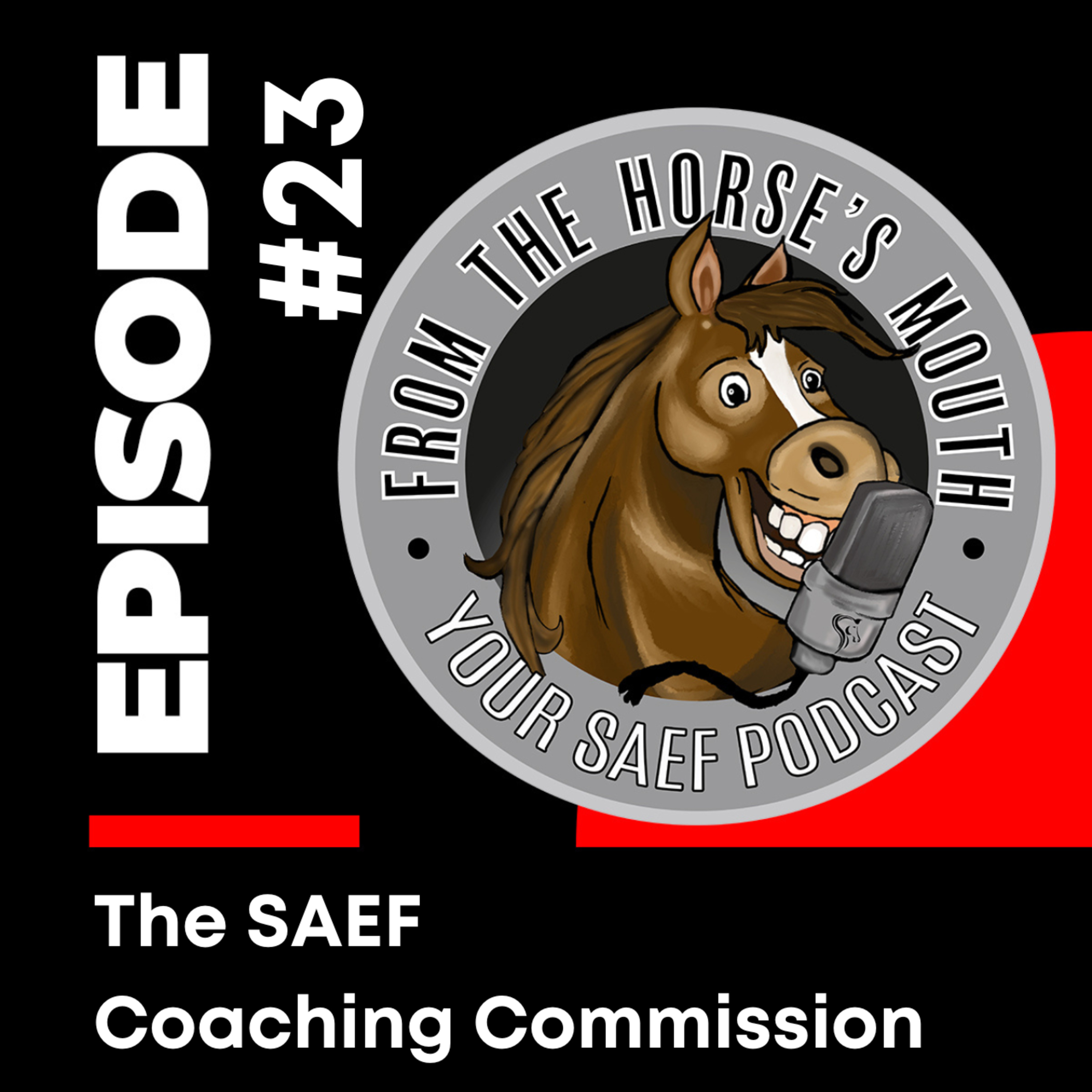 From the Horse\'s Mouth